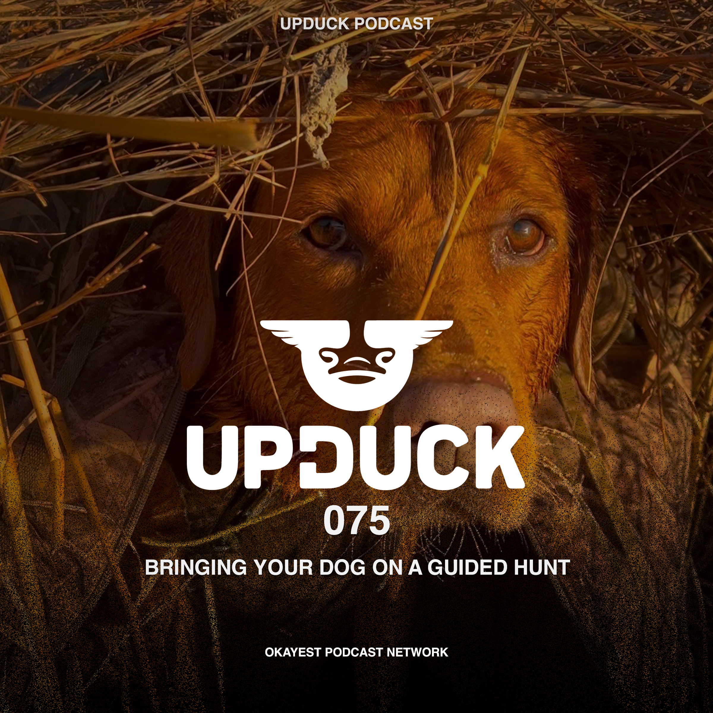 Bringing Your Dog on a Guided Waterfowl Hunt – What You Need to Know episode artwork