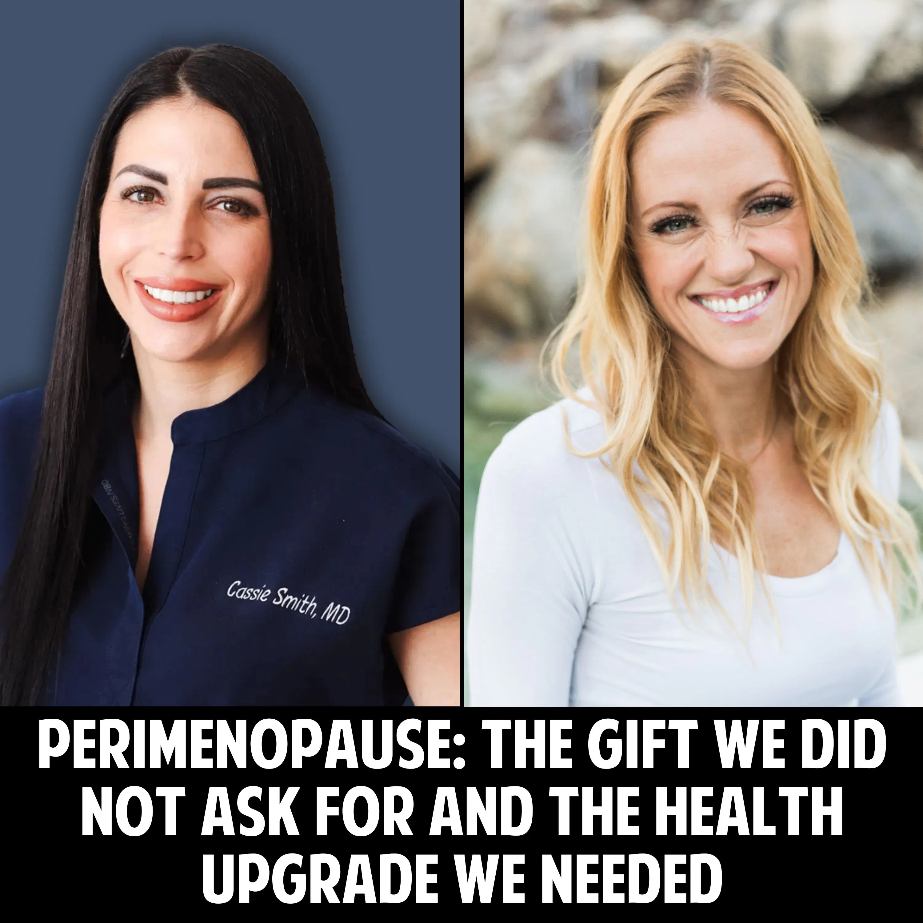 98: Perimenopause: The Gift We Didn’t Ask For and the Health Upgrade We Needed episode artwork