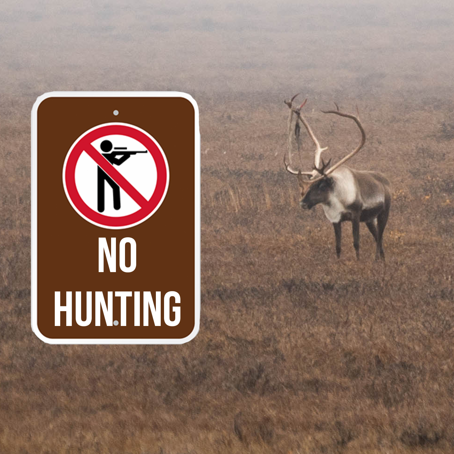 Millions of Acres Closed to Hunting in AK | Week of April 18