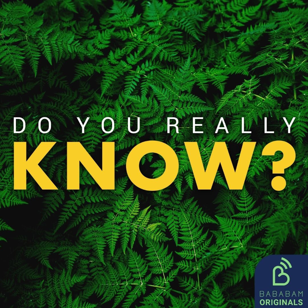 Can plants communicate with one another?