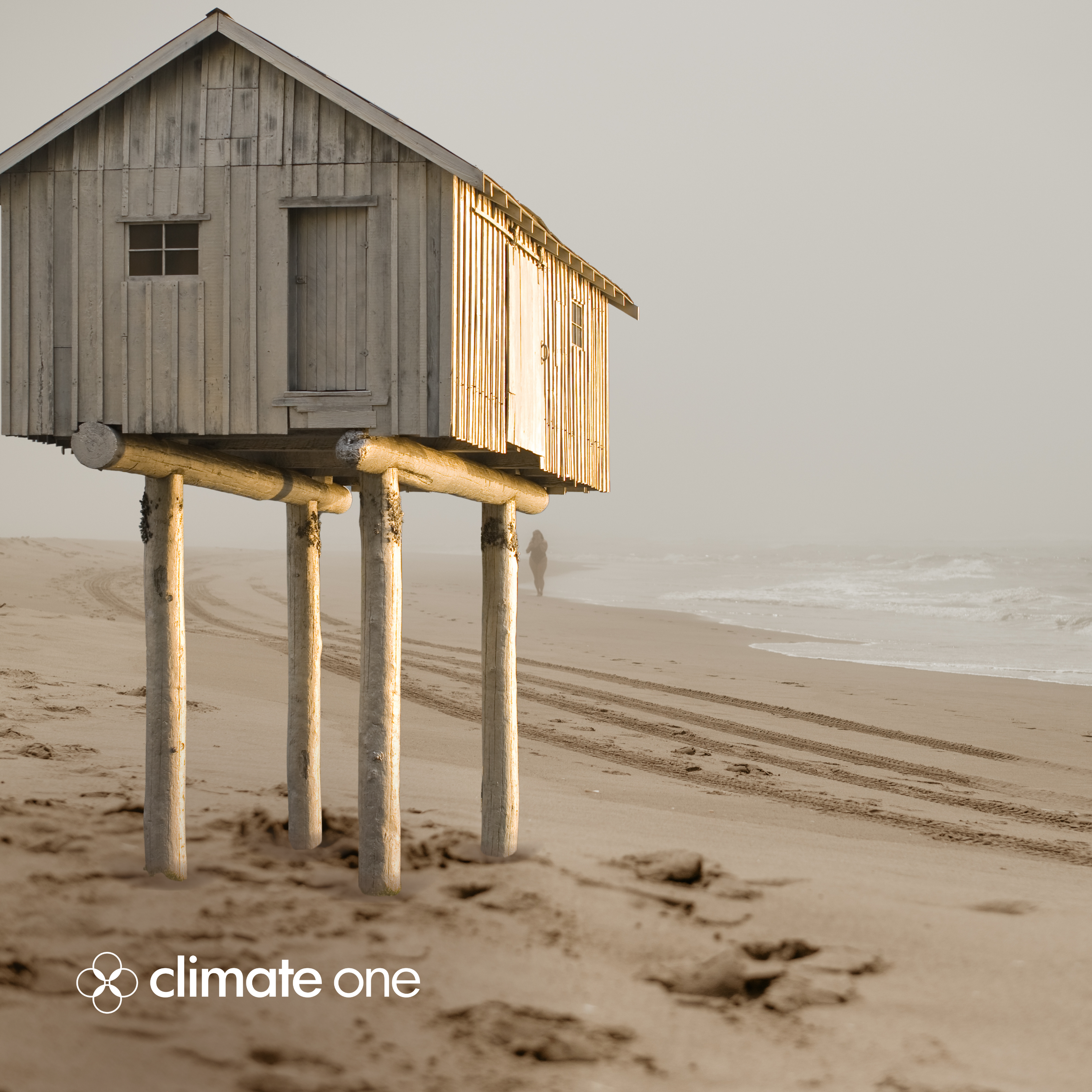 Adaptation: When Prevention Isn’t Enough