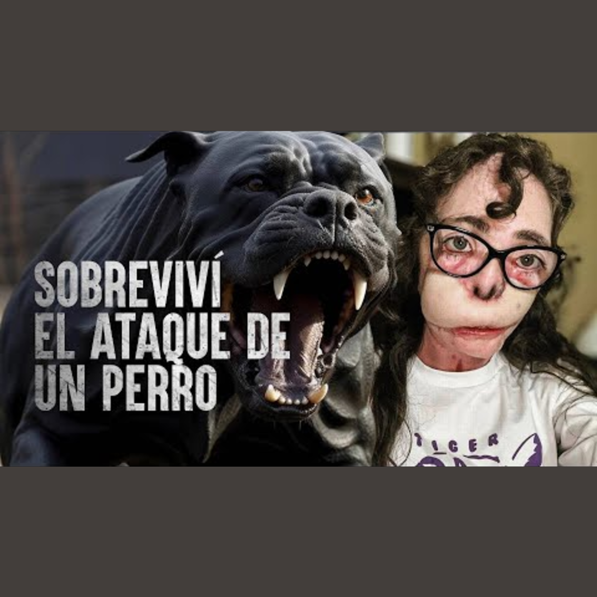 Cómo sobrevivir