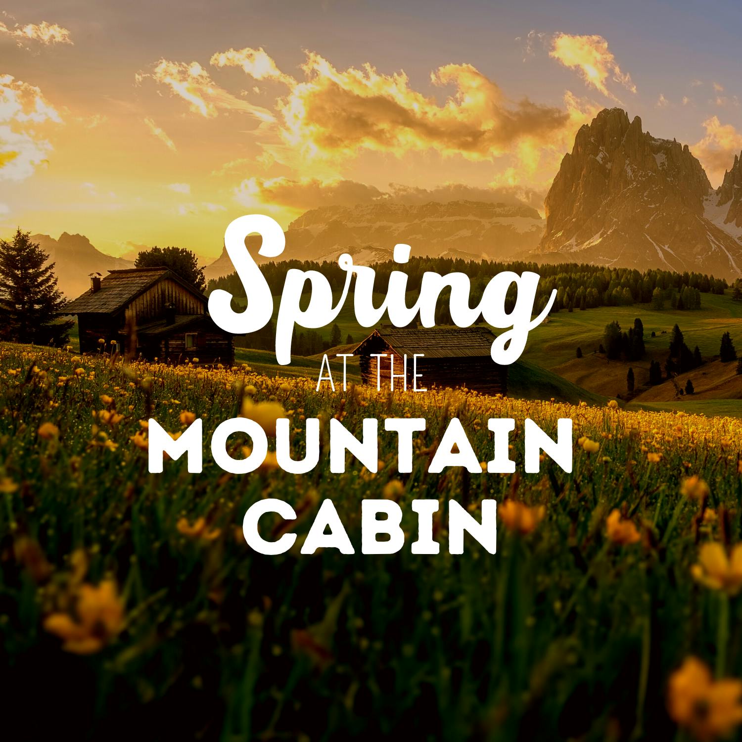 Spring at the Mountain Cabin