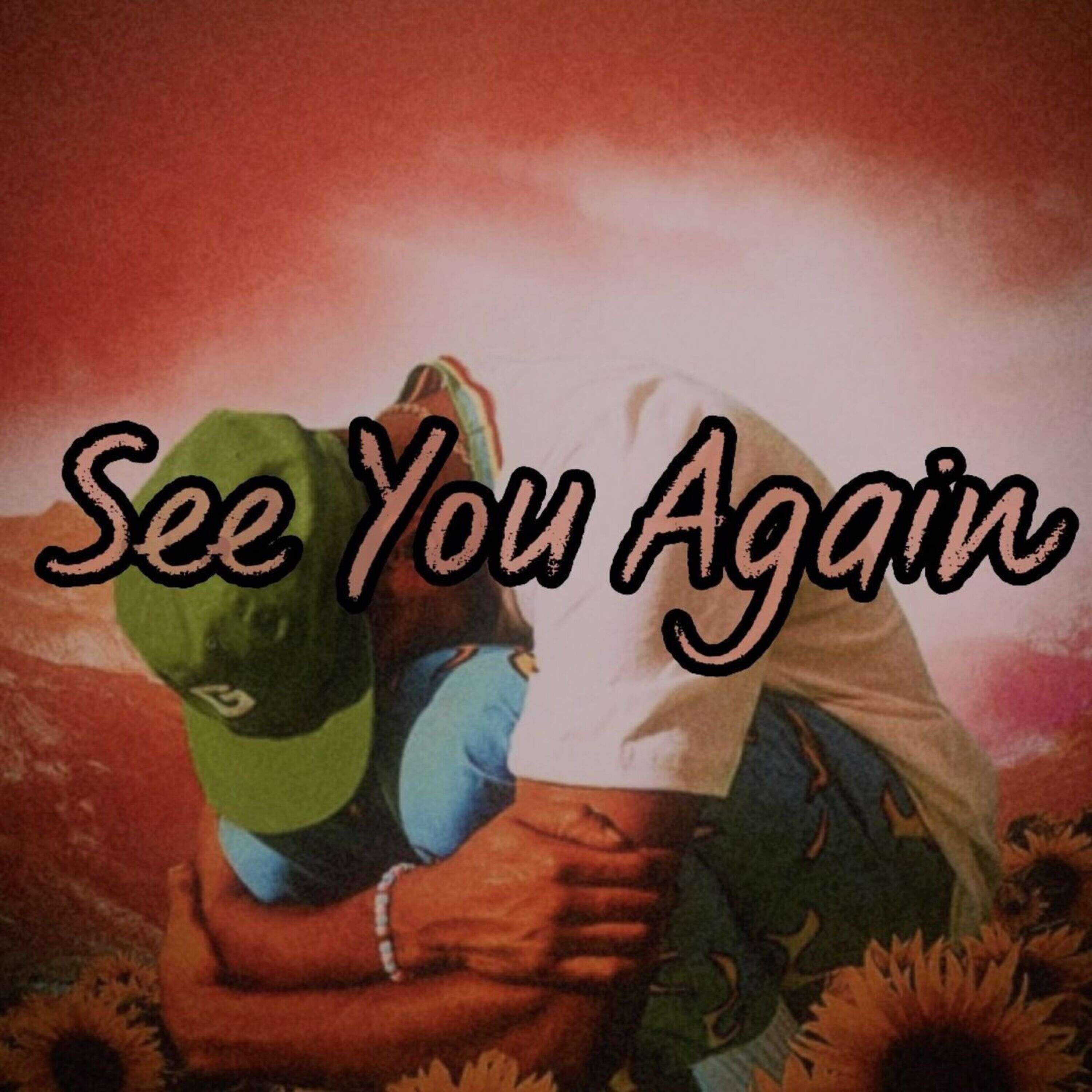 Tyler The Creator - See You Again (feat. Kali Uchis) (TikTok Song) (okokokok / lalalala) episode artwork