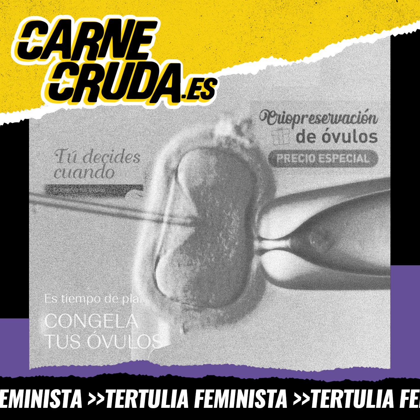 Ovarios S.L.: exprimiendo el cuerpo de las mujeres (CARNE CRUDA #1704) episode artwork