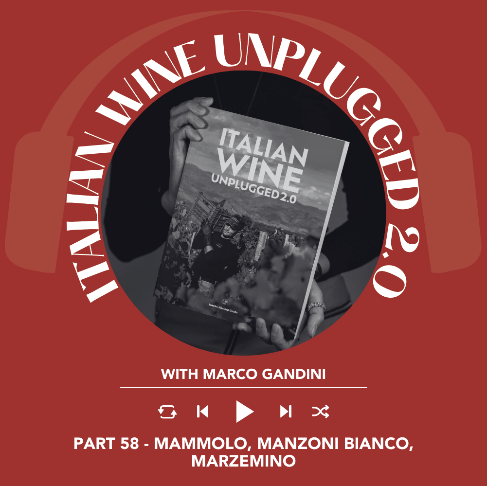 Marco Gandini Narrates Pt. 58 | Italian Wine Unplugged 2.0