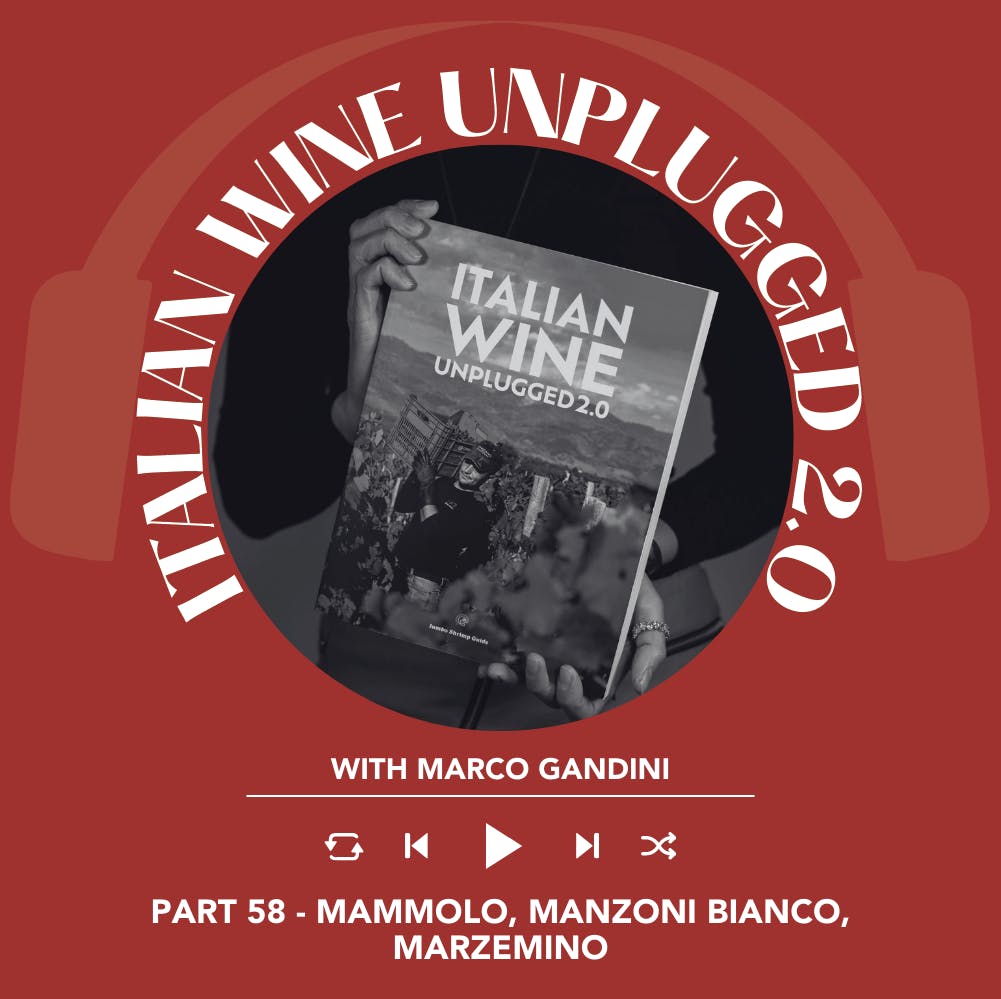 Ep. 1817 Marco Gandini Narrates Pt. 58 | Italian Wine Unplugged 2.0