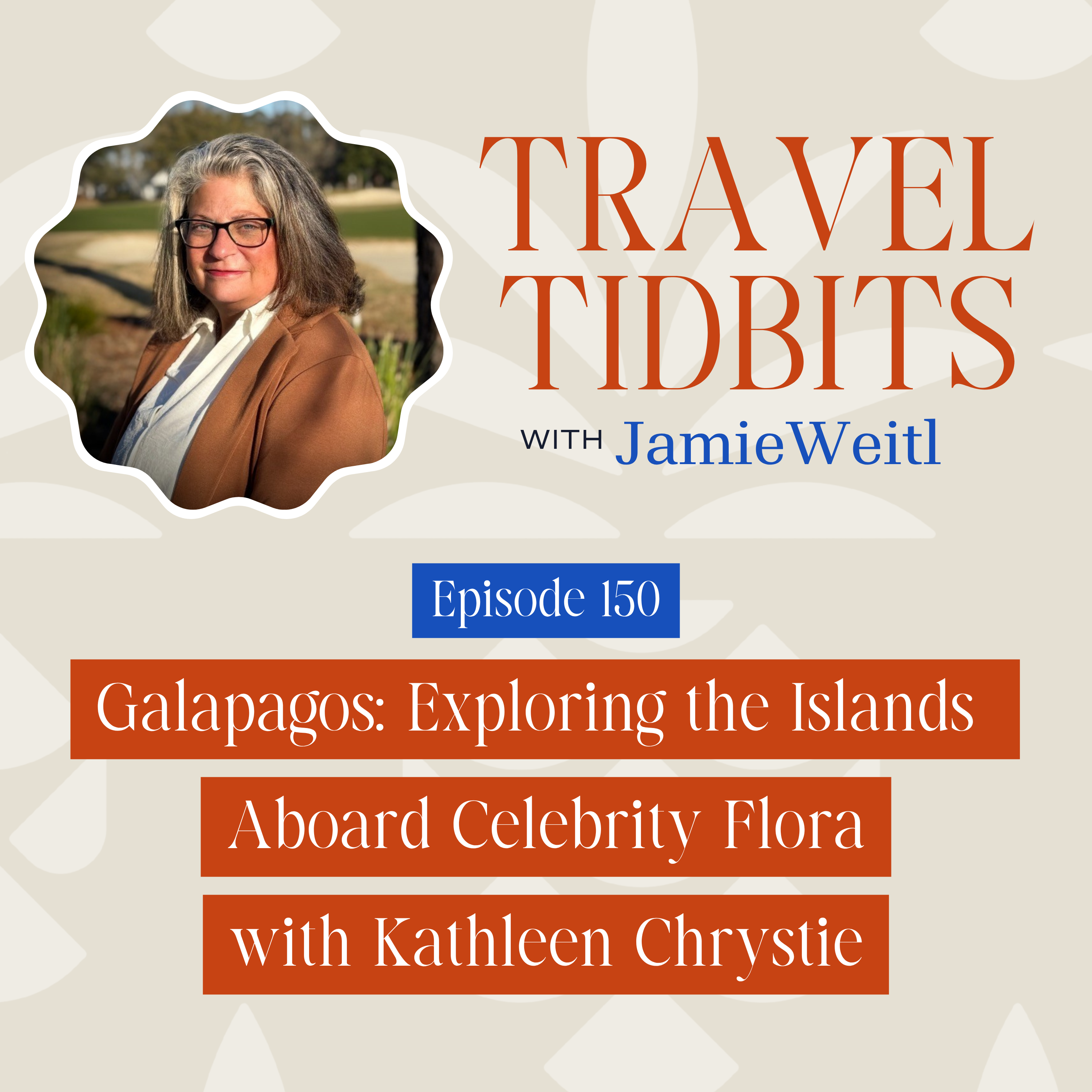 The Travel Tidbits Podcast