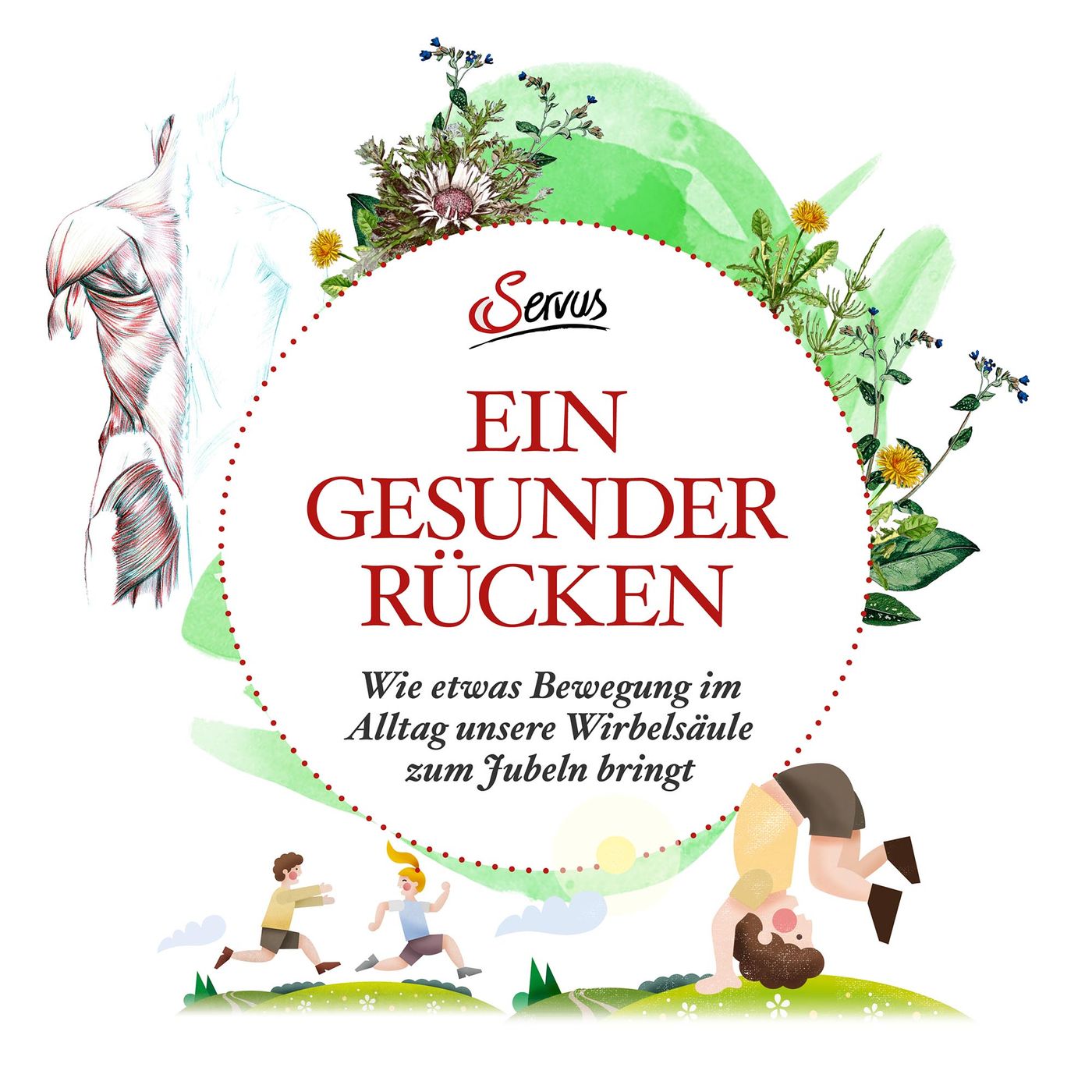 Endlich ein gesunder Rücken - #03