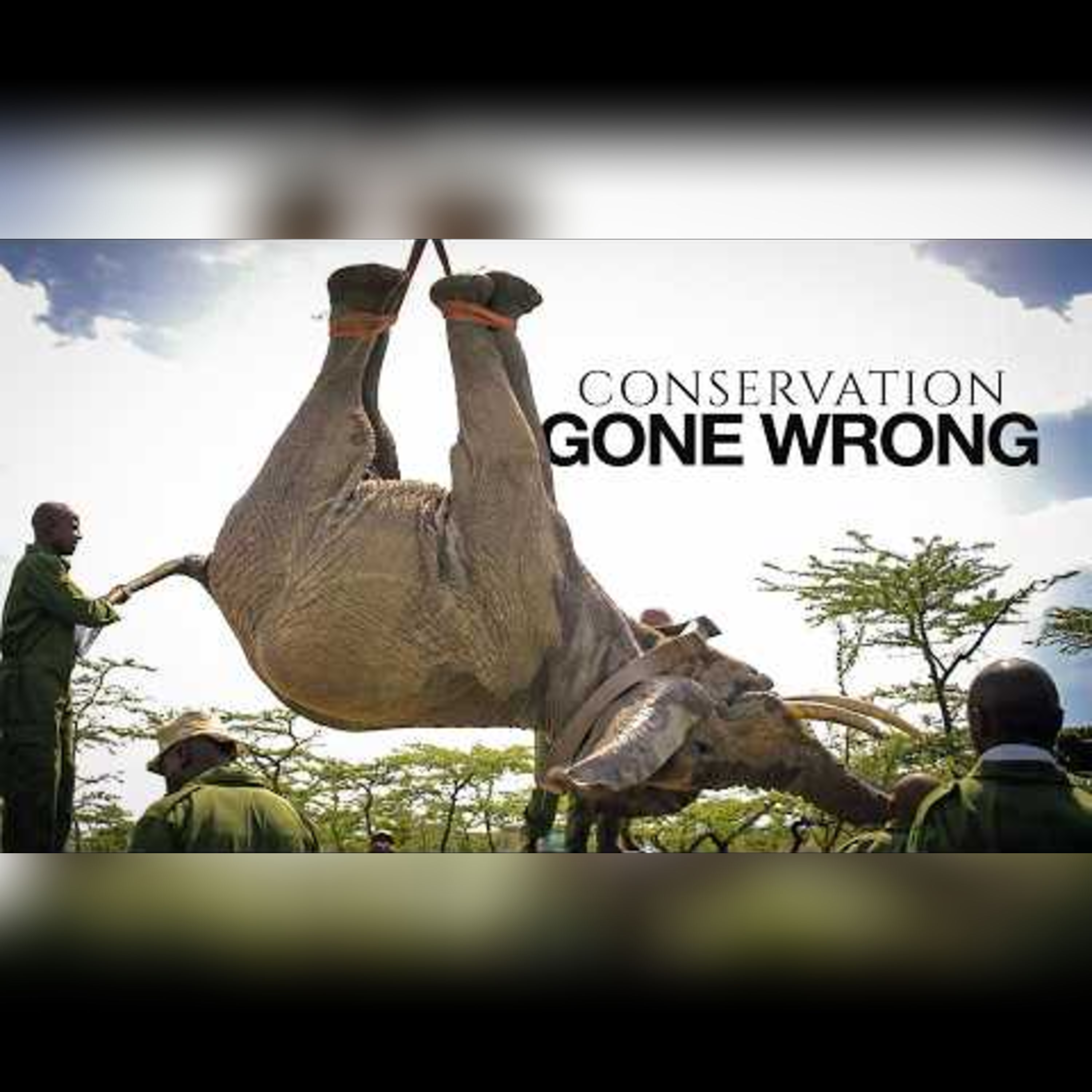 The Conservation Paradox Affecting African Villages episode artwork