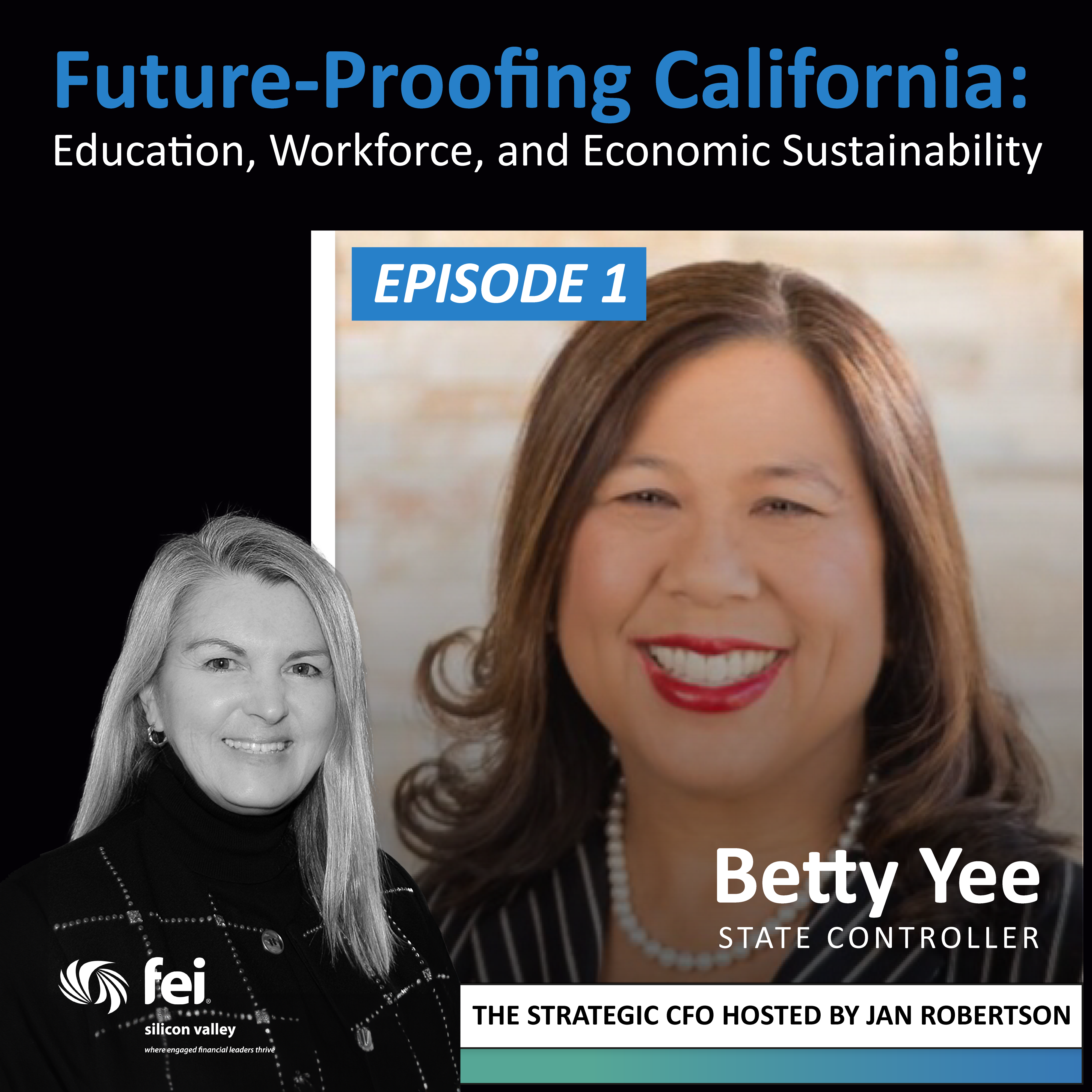 The Strategic CFO by FEI