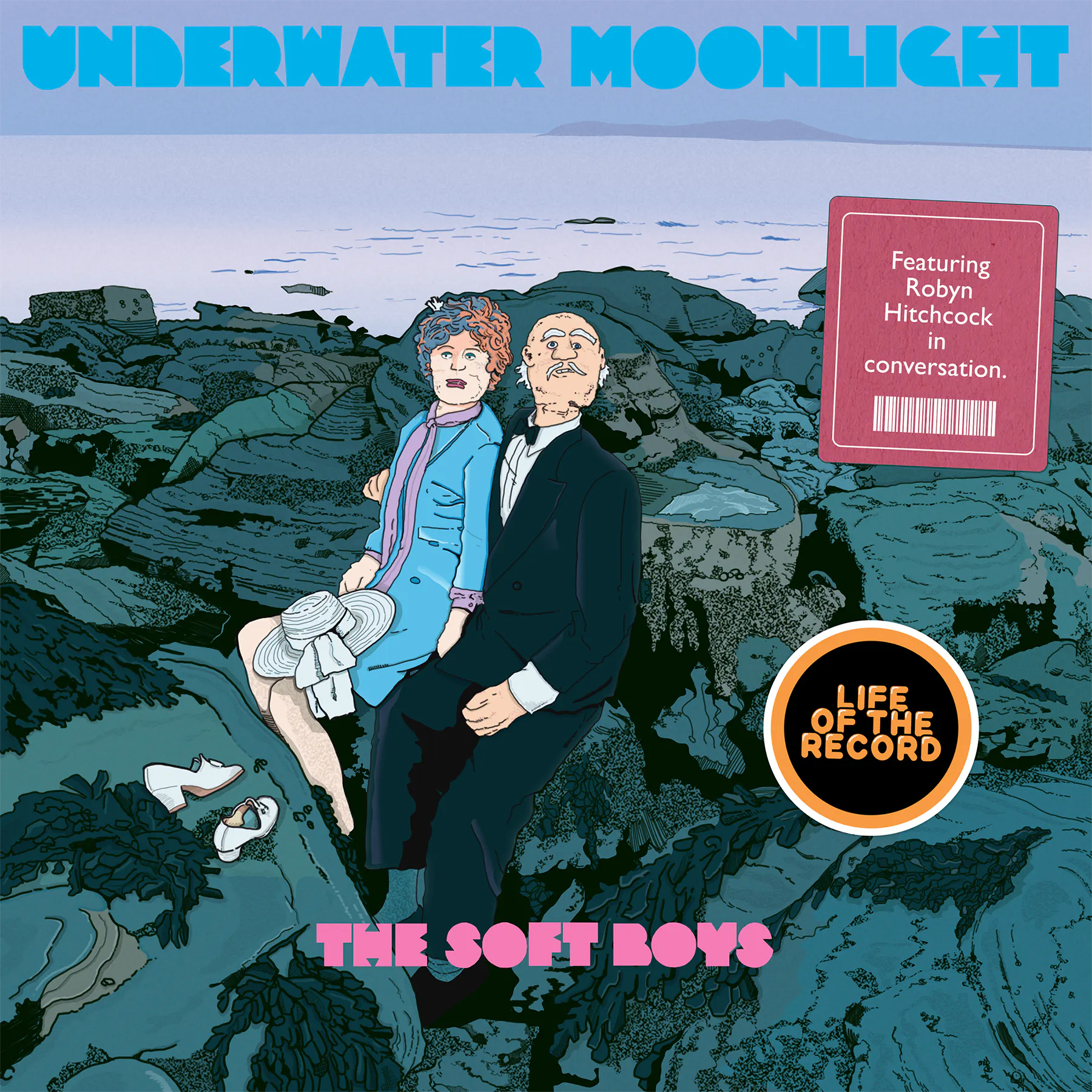 The Making of UNDERWATER MOONLIGHT by The Soft Boys - featuring Robyn Hitchcock episode artwork