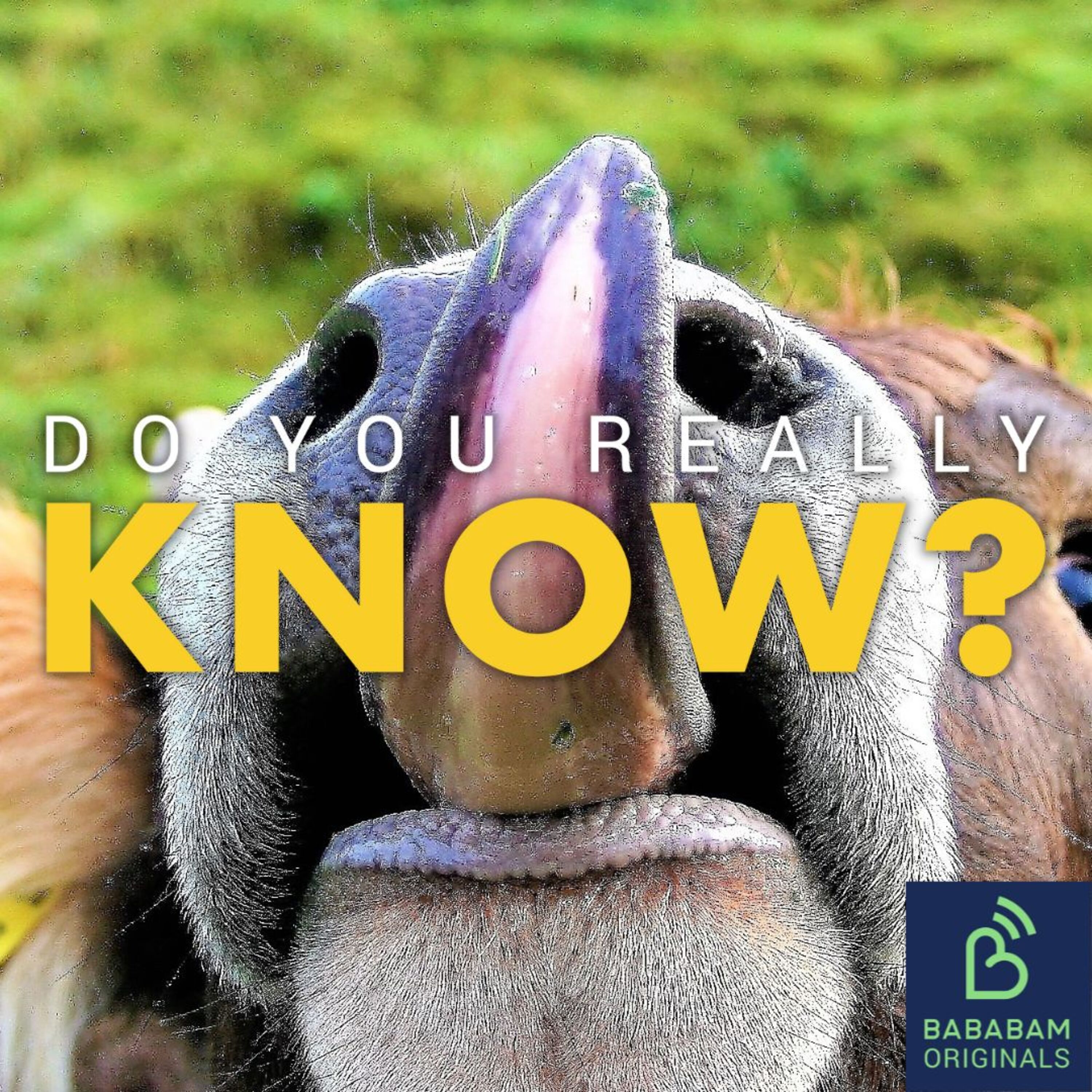 Do tongue scrapers actually help with bad breath?