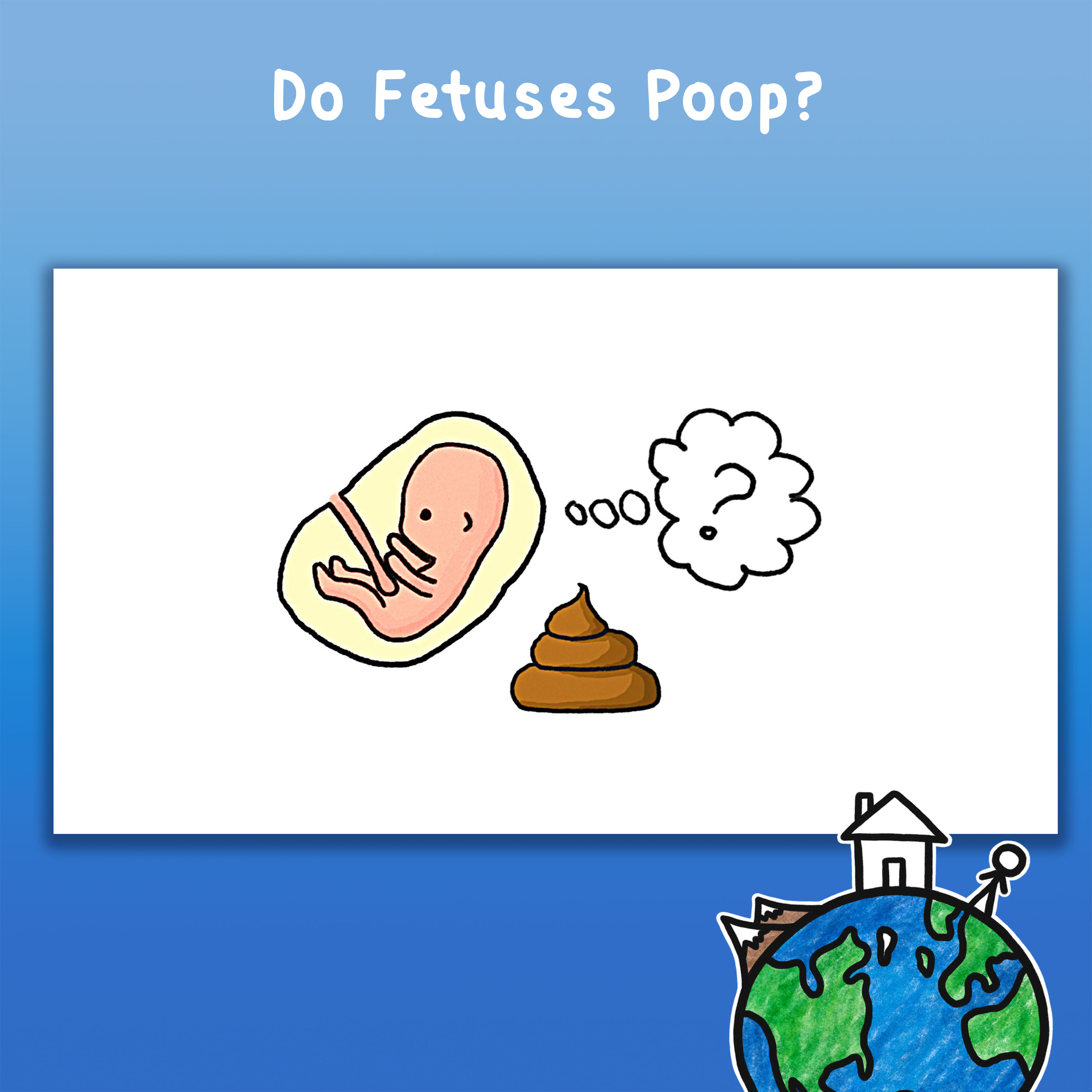 Do Fetuses Poop?