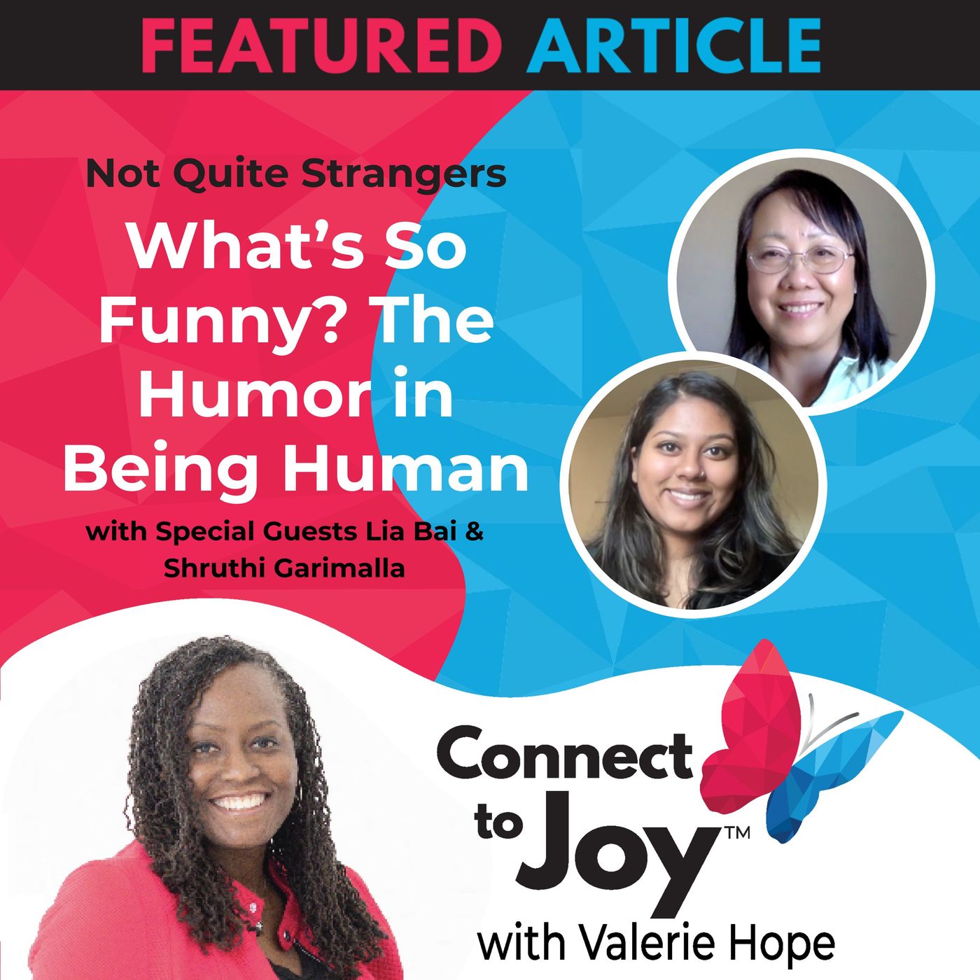 What’s So Funny? The Humor In Being Human | Ep. 40 NQS | Valerie Hope episode artwork