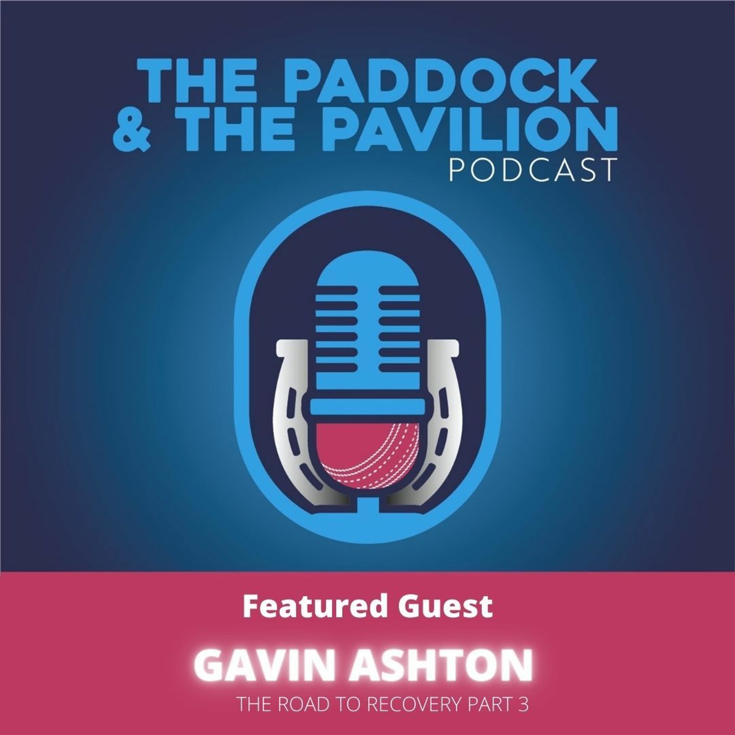 Ep 131 - Gavin Ashton - The Road to Recovery - Part 3 episode artwork