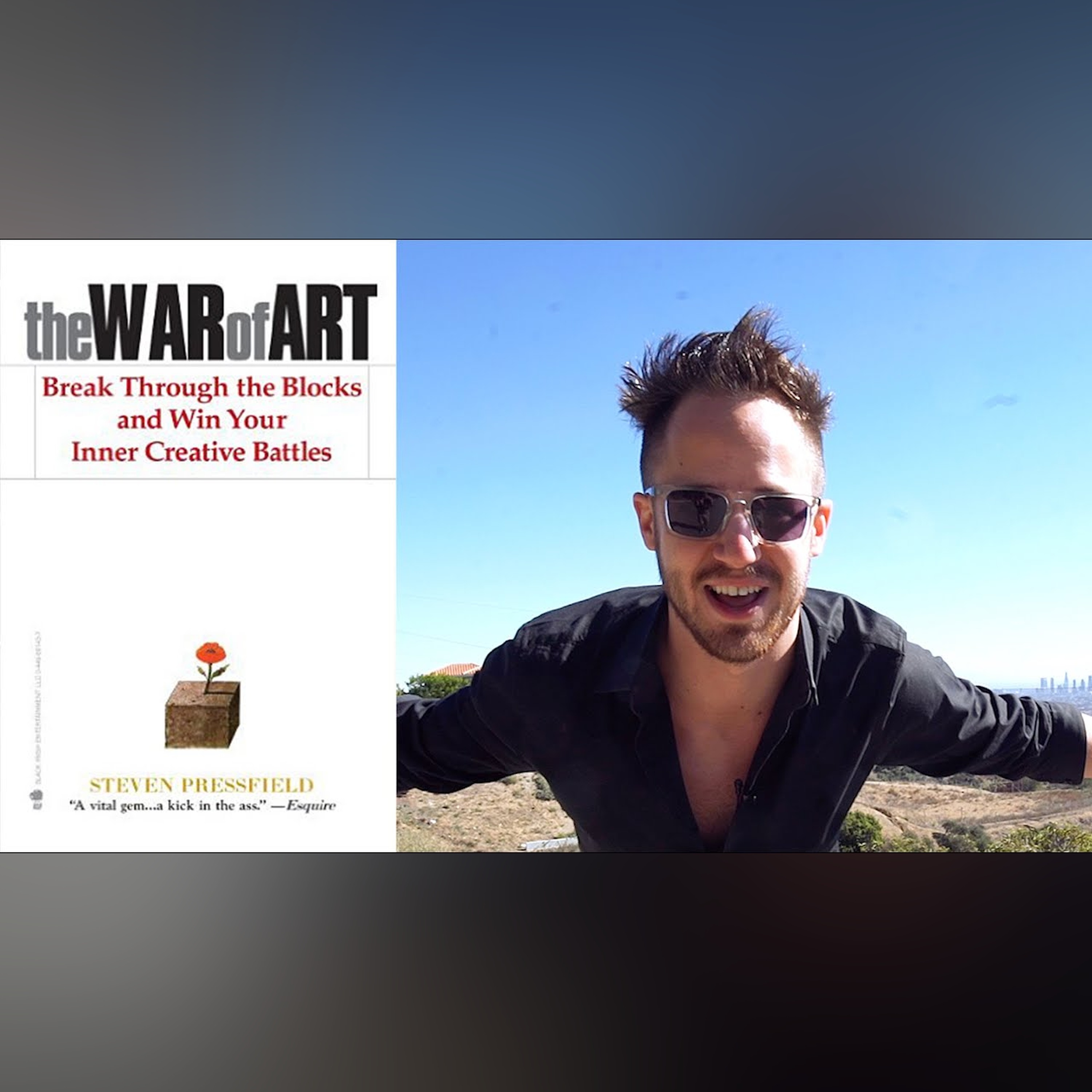 The War Of Art: How To Battle Resistance and The Importance Of TURNING PRO! (Steven Pressfield)