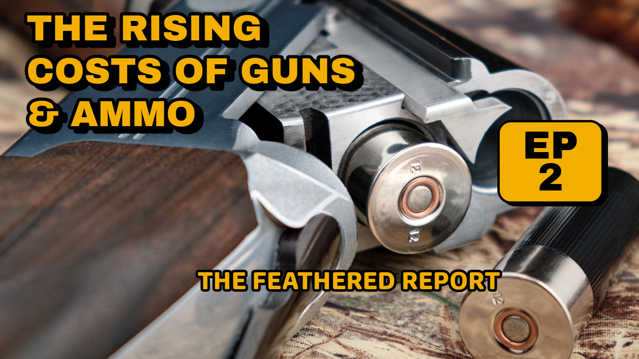 The Feathered Report: The Rising Costs of Guns & Ammo episode artwork