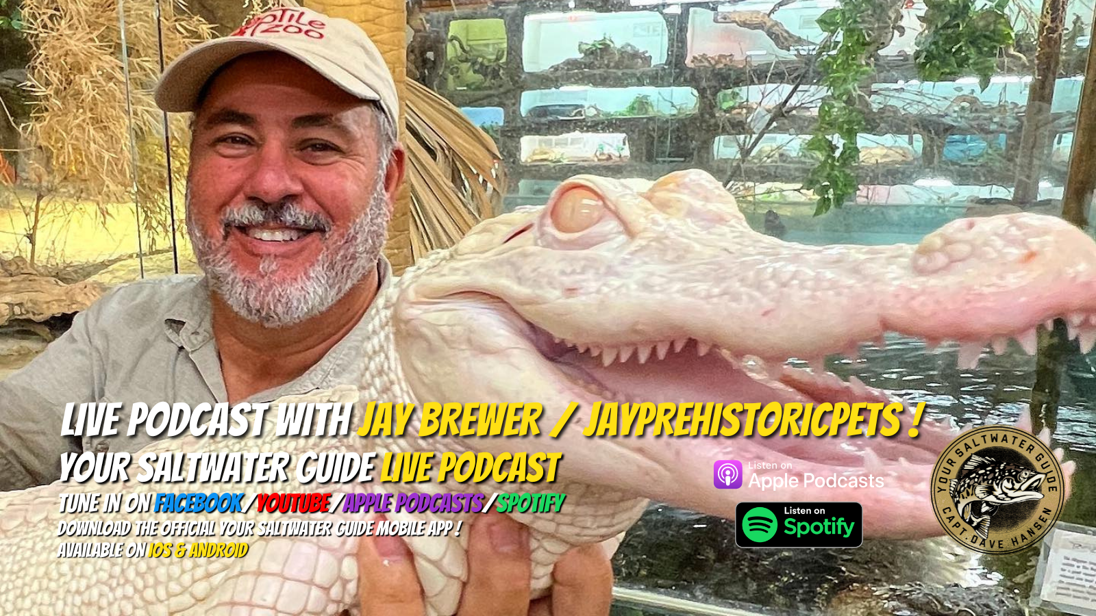 LIVE Podcast with Jay Brewer / Jayprehistoricpets ! 🐢 🐍 🦎 🦖 🐉 🐊