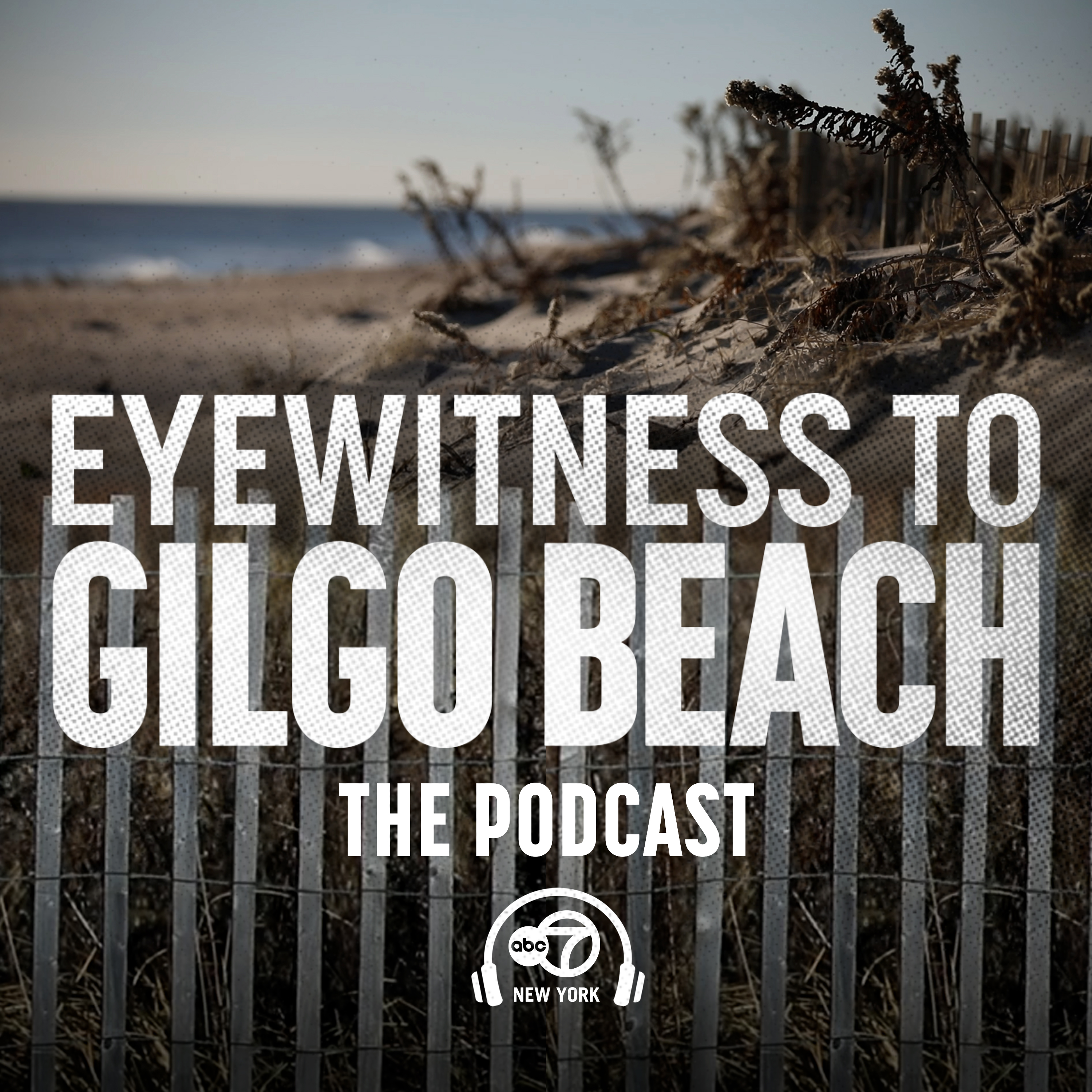 GILGO BEACH E9: Who is Rex Heuermann? episode artwork