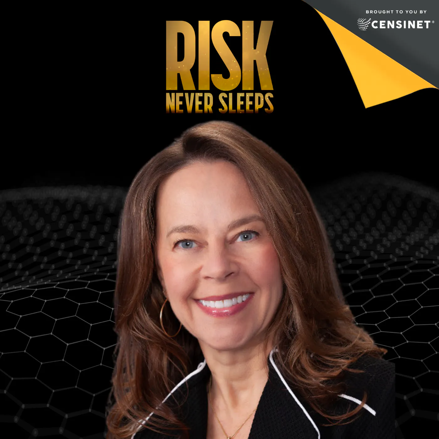 Episode #199. Small Hospital, Big Tech: How Rural Health Is Quietly Winning with AI, with Linda Stevenson, Chief Operations and Chief Digital Information Officer at Fisher-Titus Health — Risk Never Sleeps Podcast cover
