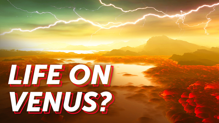 Astronomers Saw a Signal of Life on Venus in Its Clouds