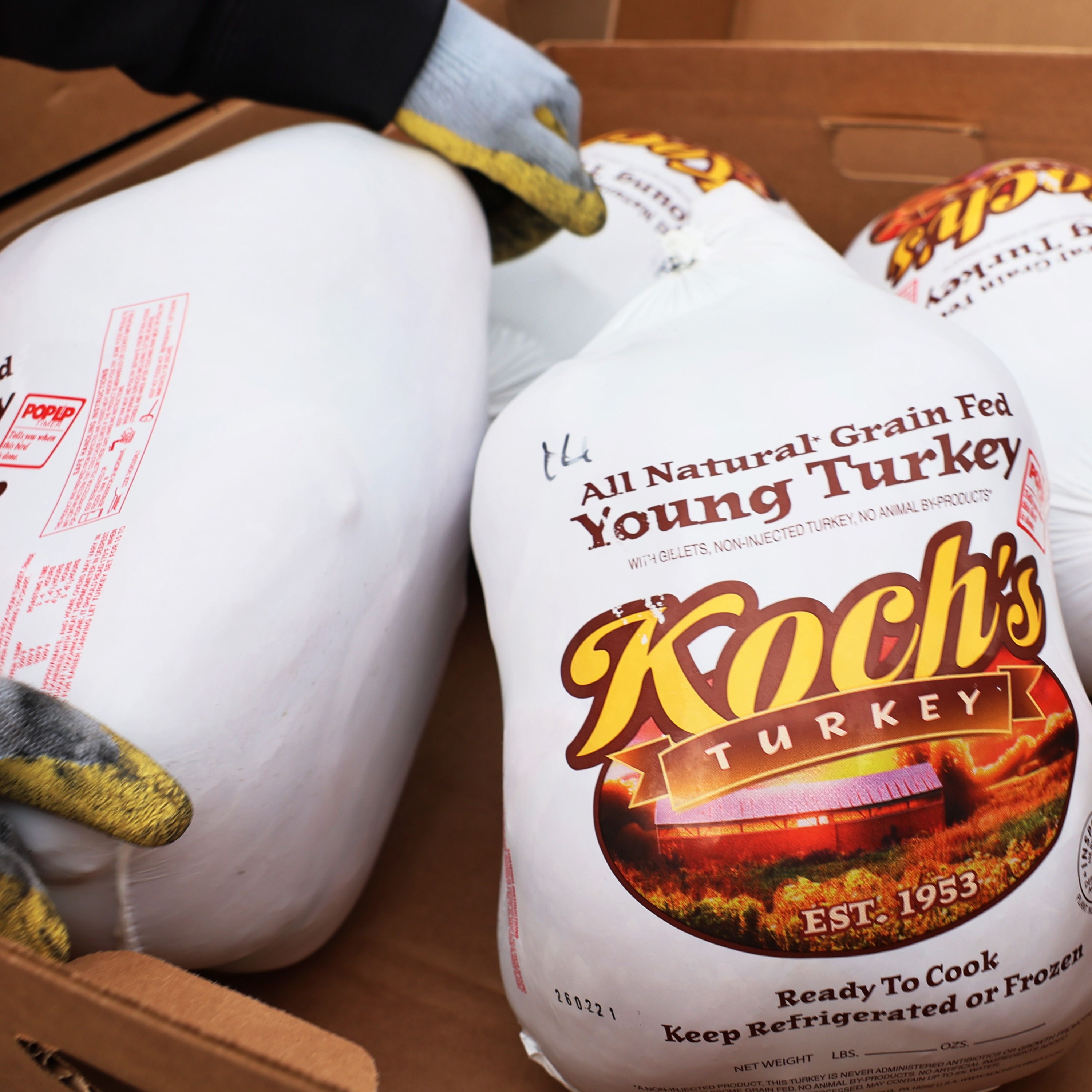 The Thanksgiving Episode