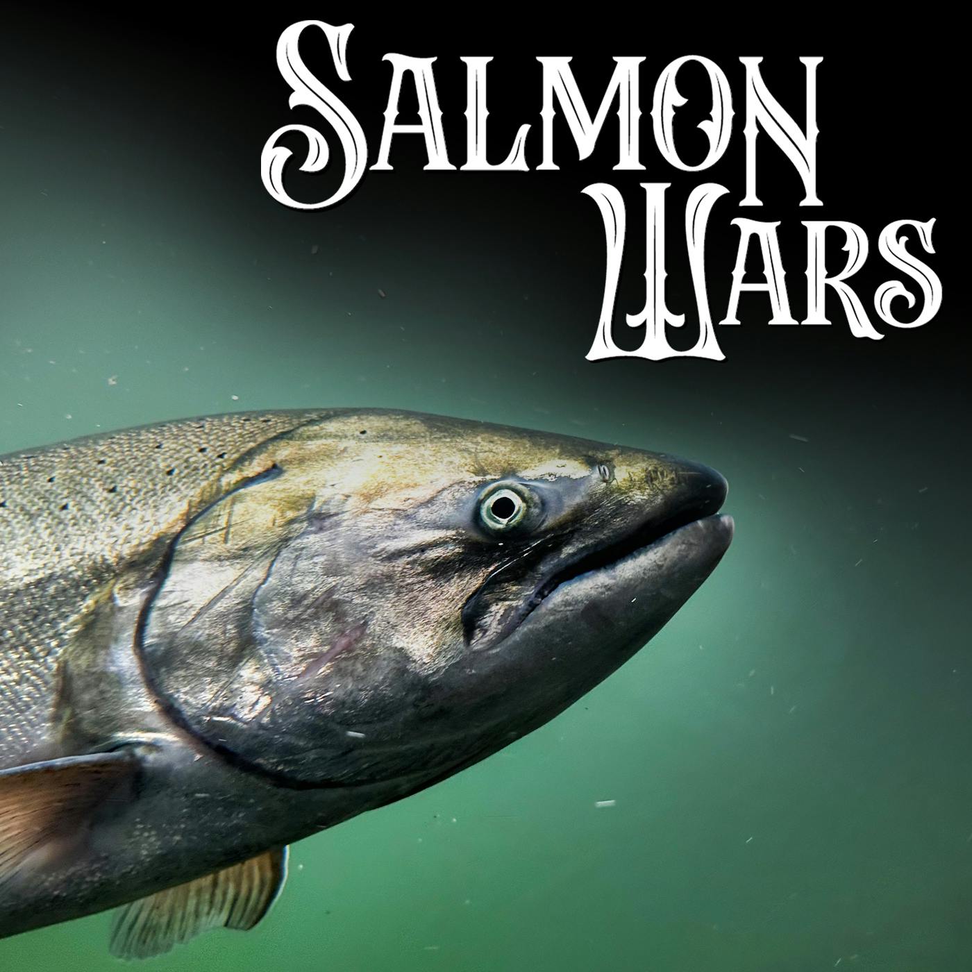 Episode 4 - Laine Welch | A Longtime Fishing Industry Reporter Who “Can No Longer Remain Silent” Episode 4 - Laine Welch | A Longtime Fishing Industry Reporter Who “Can No Longer Remain Silent”