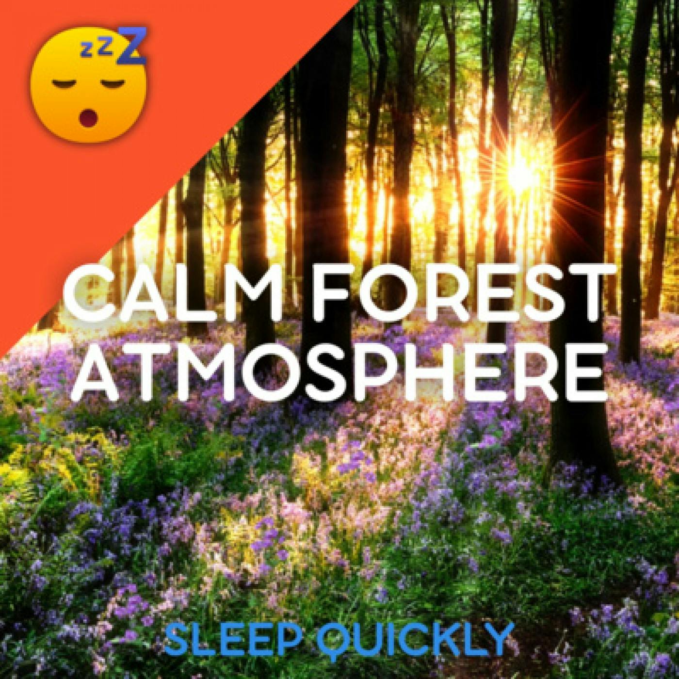 😴🍂🎵 Calm FOREST ATMOSPHERE episode artwork