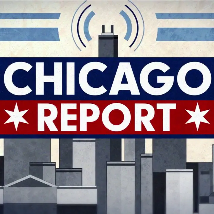 Ballot laws lawsuit, Mayor Johnson's finance director resigns | The Chicago Report episode artwork