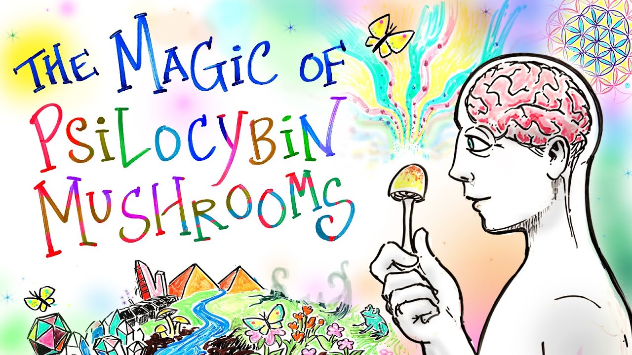 The Magic of Mushrooms - A Psilocybin Renaissance | After Skool
