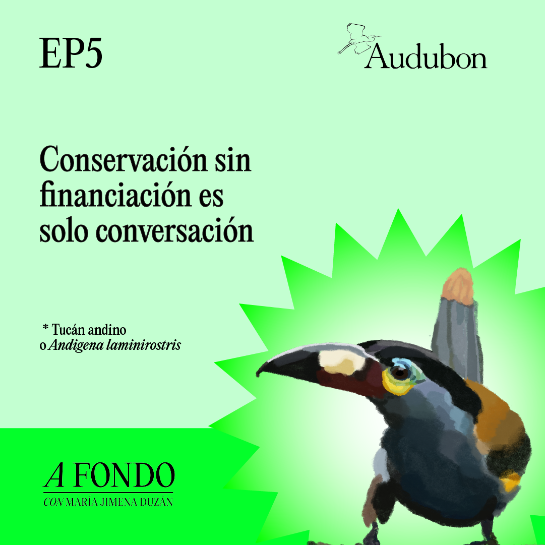 A Fondo Con María Jimena Duzán