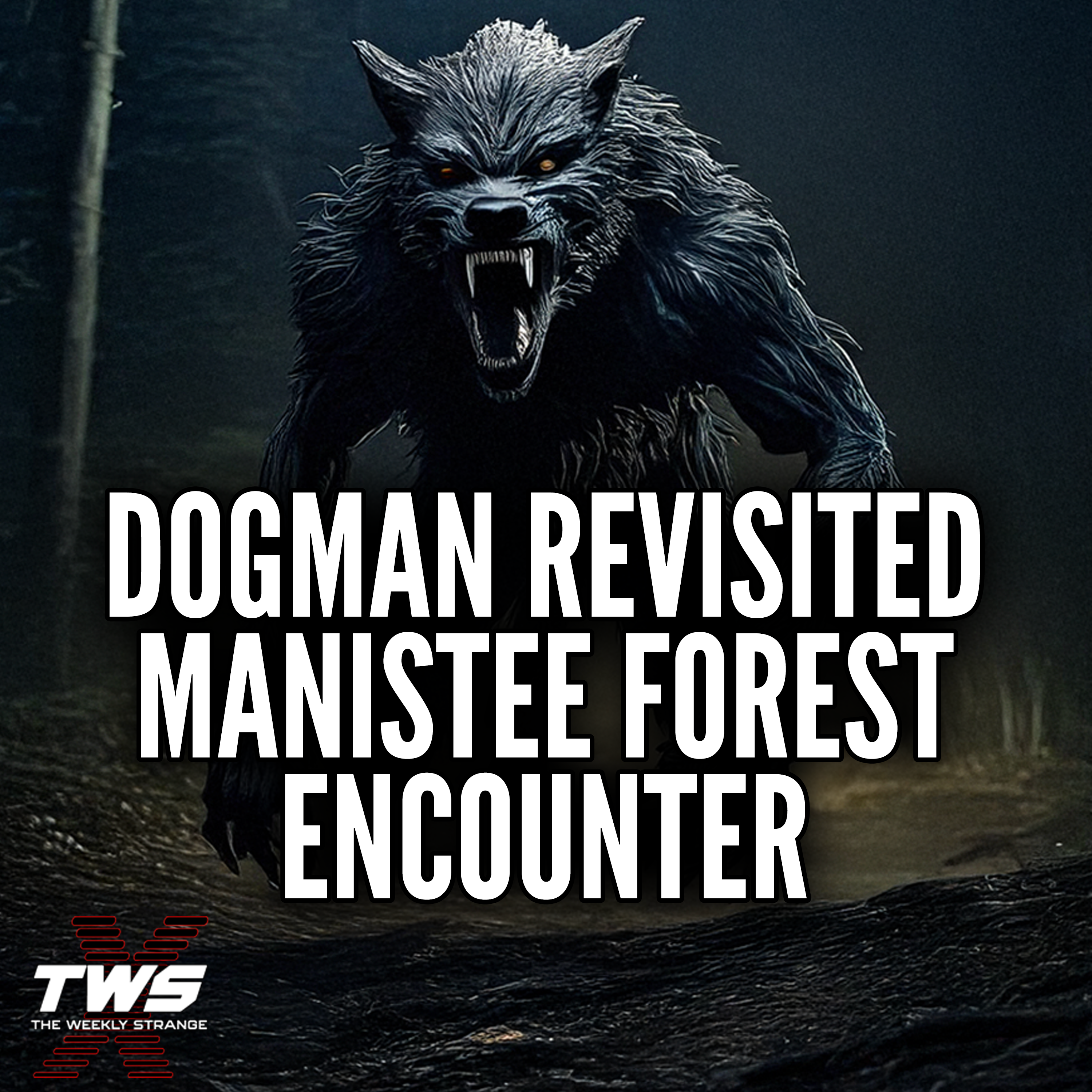Dogman Revisited: Manistee National Forest - The Weekly Strange: Episode 26 episode artwork