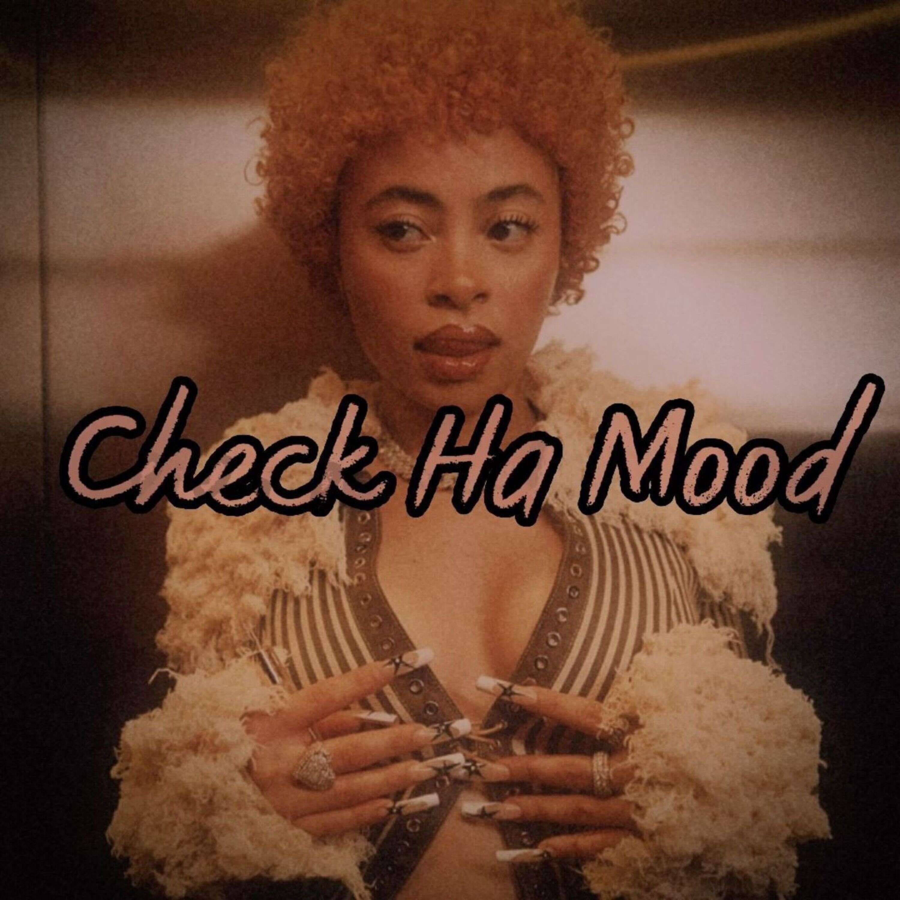 Ice Spice - Check Ha Mood (In Ha Mood x Check It Out) (TikTok Remix) episode artwork