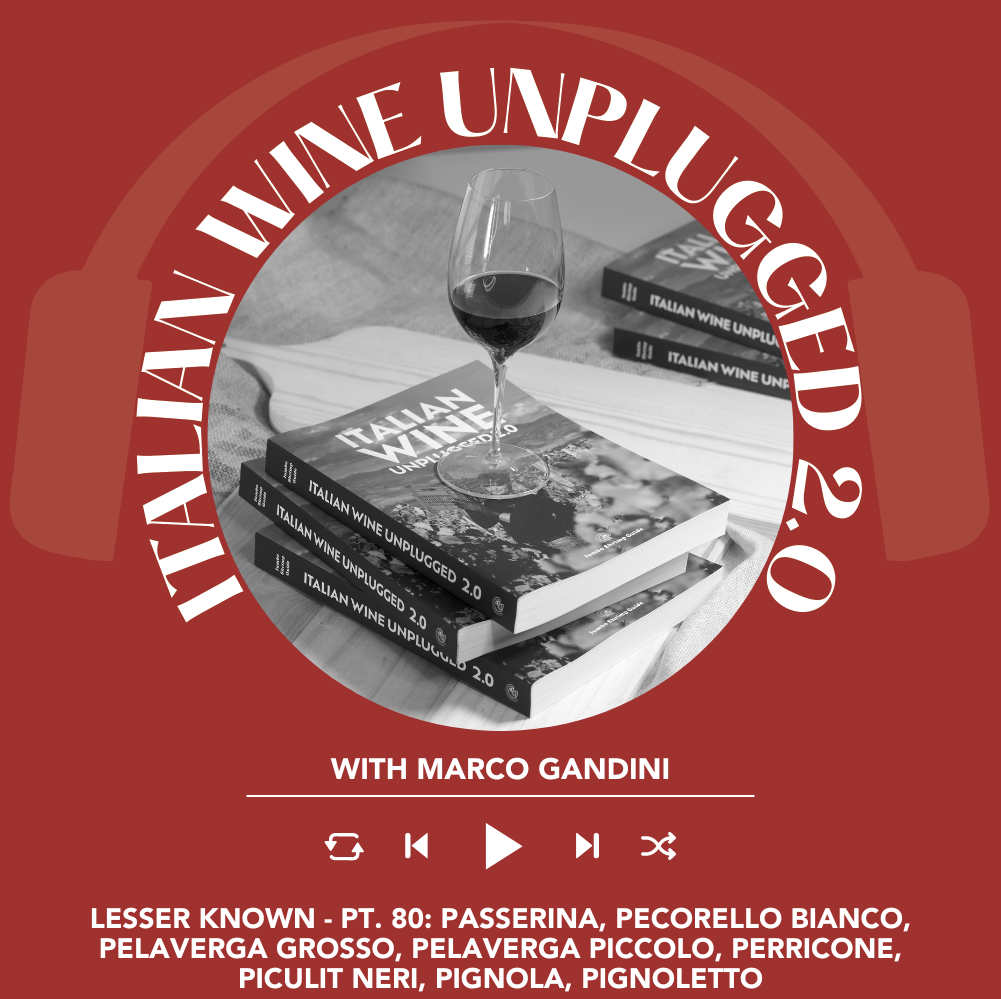 Marco Gandini Narrates Pt. 80 | Italian Wine Unplugged 2.0