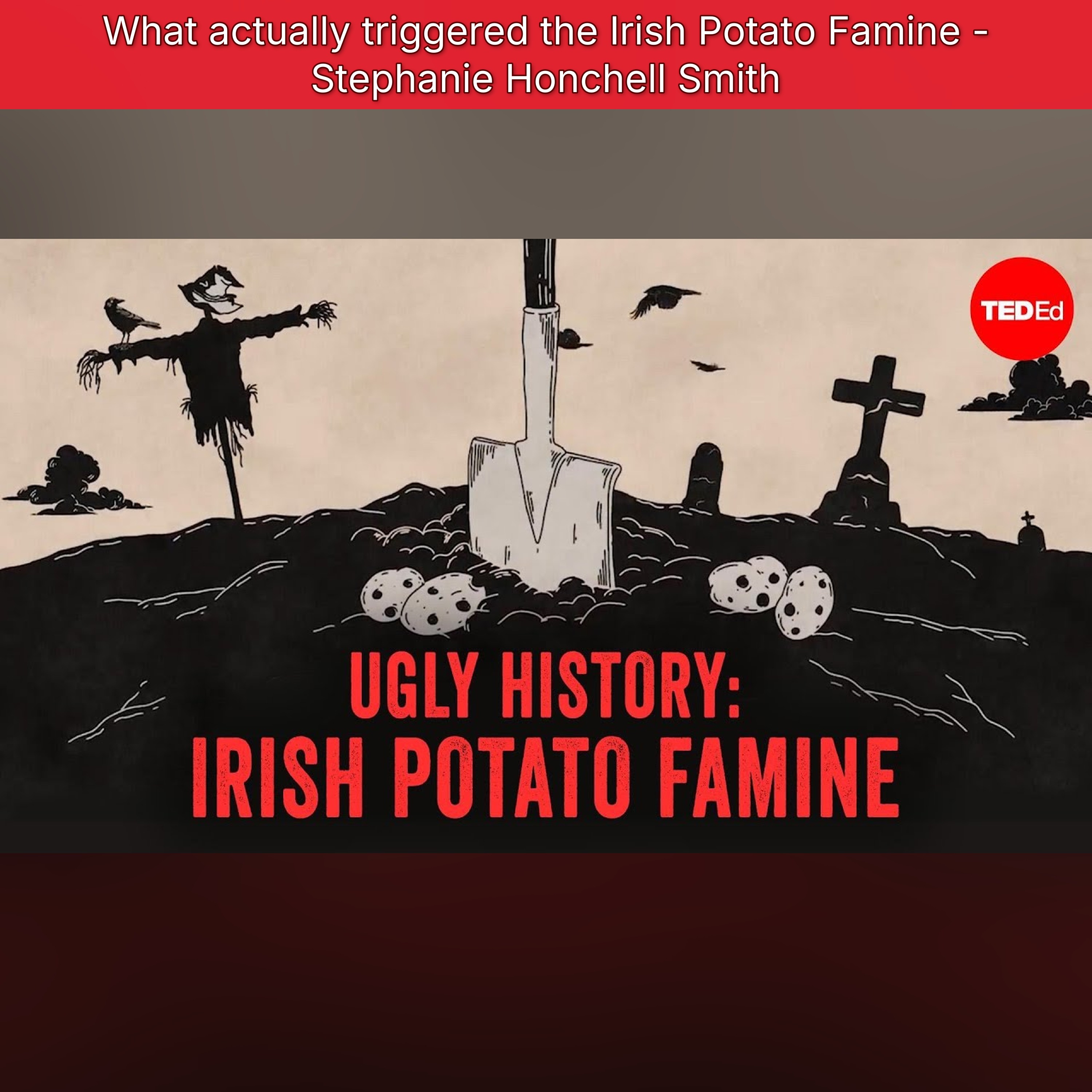 What actually triggered the Irish Potato Famine - Stephanie Honchell Smith episode artwork