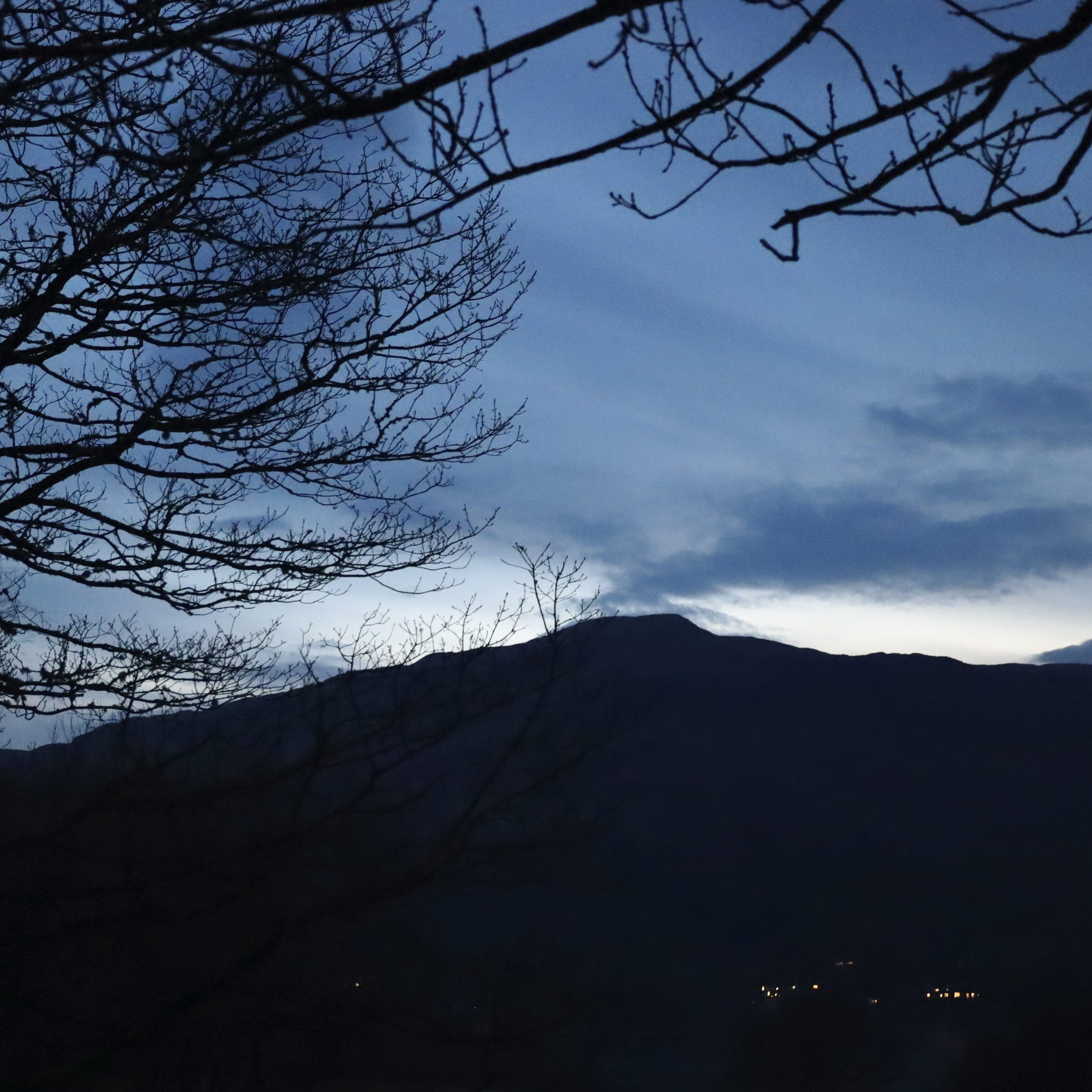 Sound Escape 211. Enjoy tawny owls calling in a woodland - recorded by author Polly Atkin