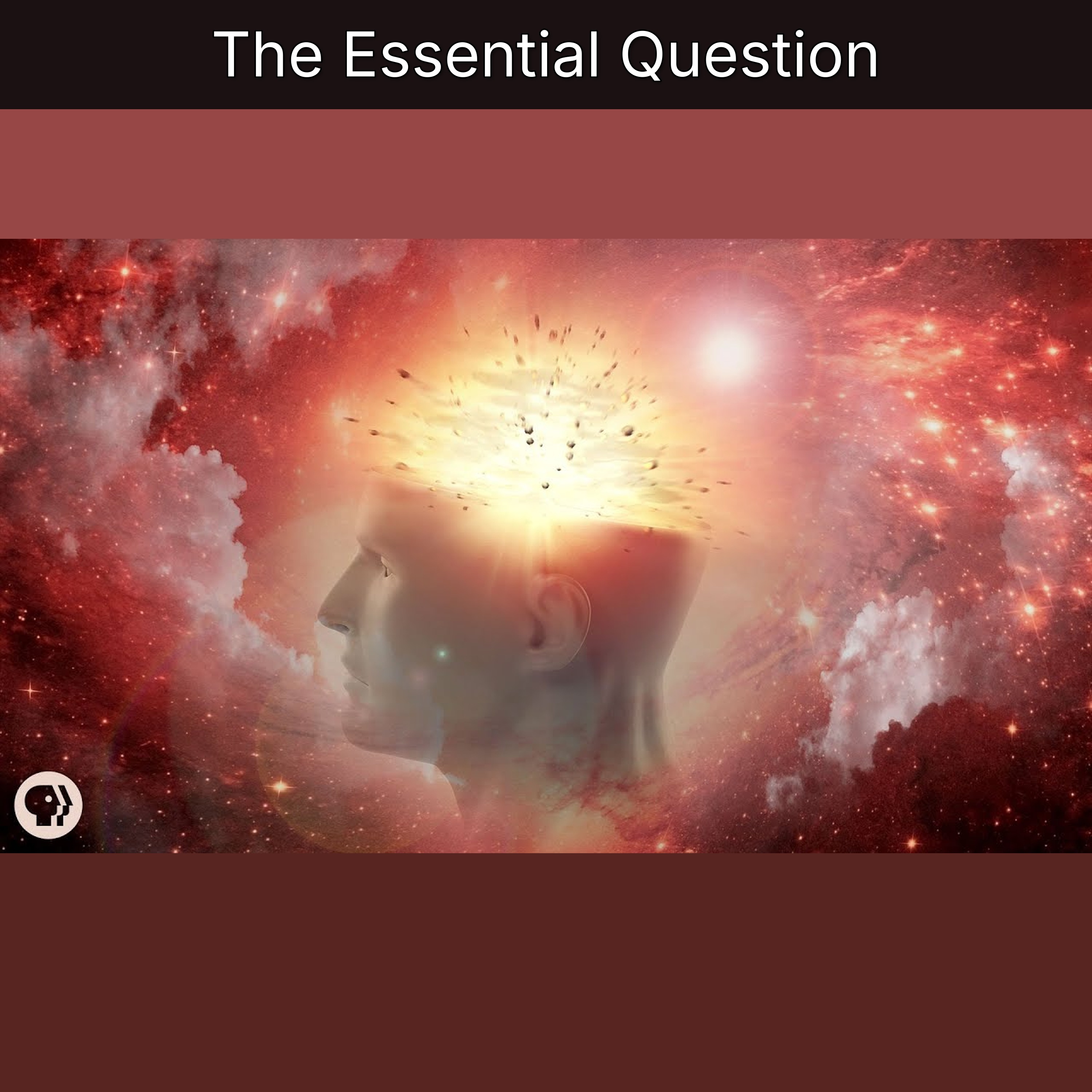 The Essential Question episode artwork