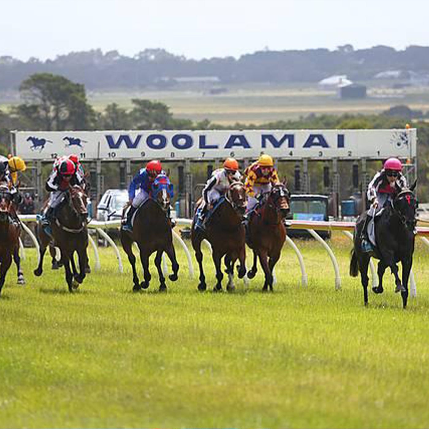 Woolamai Races Adam Olszanski chats to Andrew Kuuse re success of Woolamai races episode artwork
