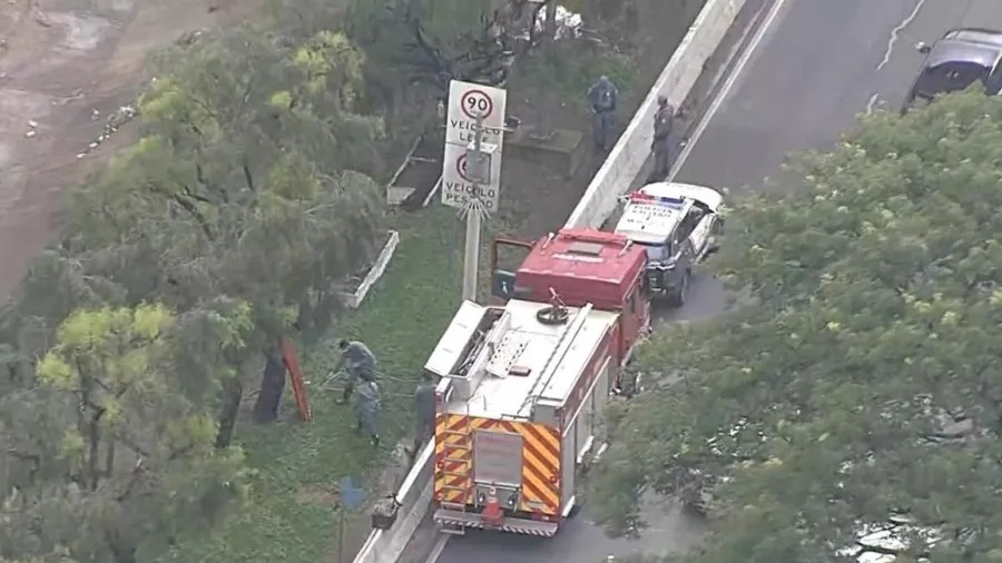 Número de corpos com sinais de violência encontrados em São Paulo sobe para 17 episode artwork