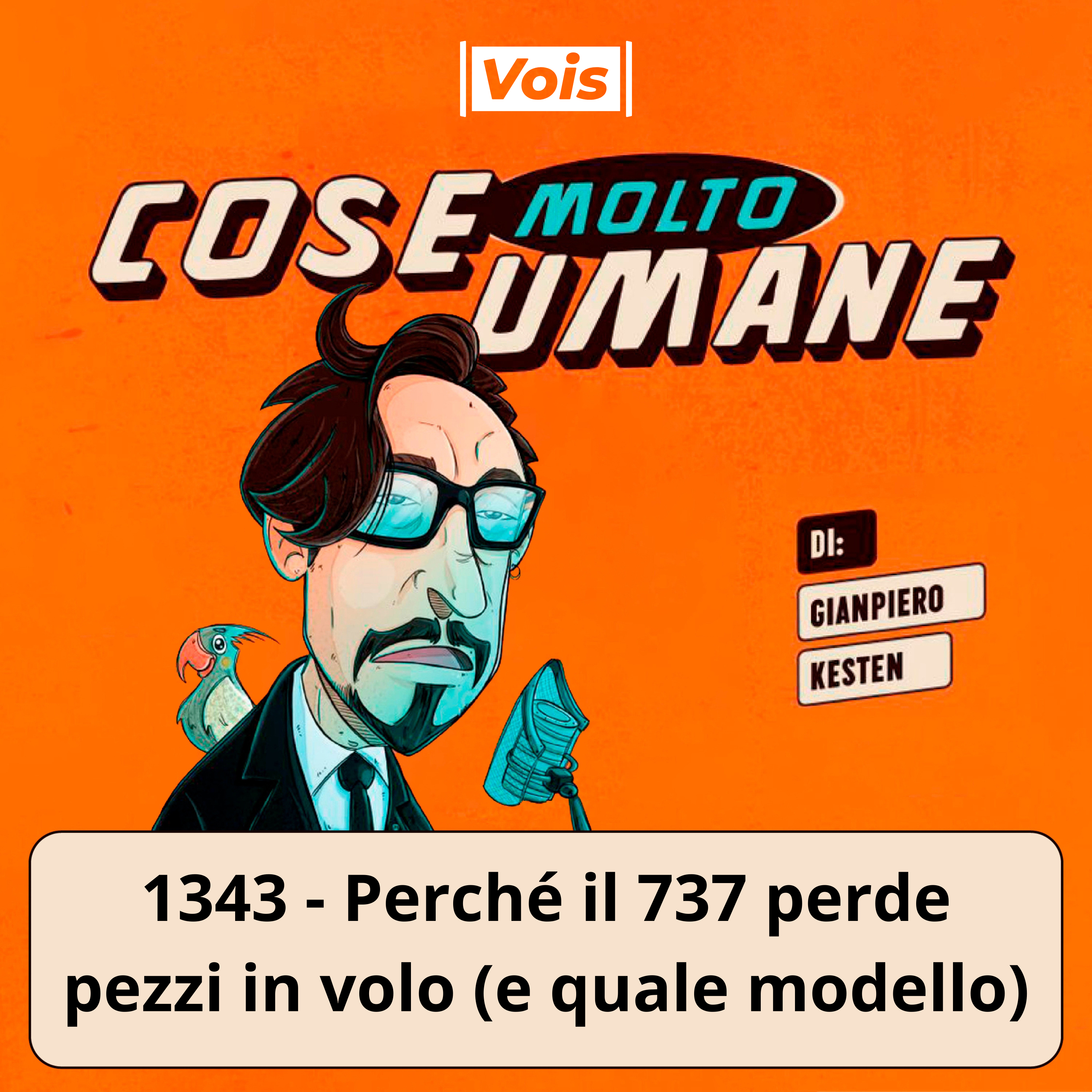 1343 - Perché il 737 perde pezzi in volo (e quale modello)
