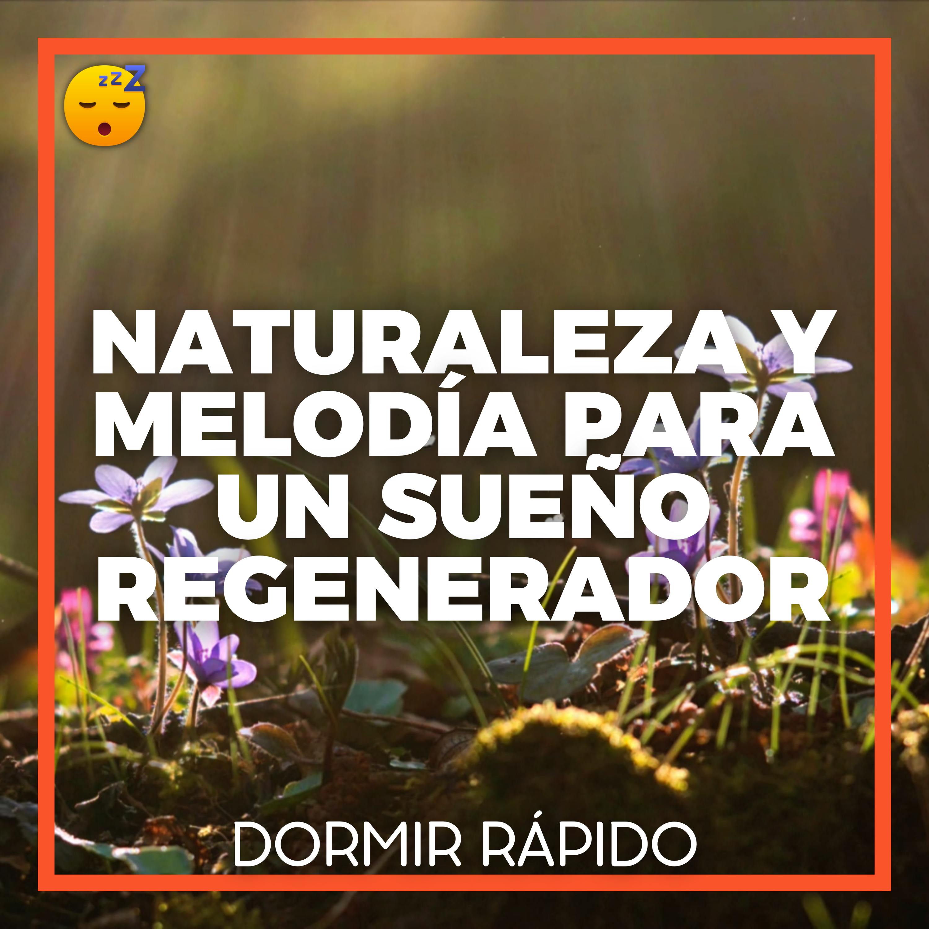 Déjese Transportar por la NATURALEZA y una MELODÍA Envolvente para un SUEÑO Regenerador episode artwork