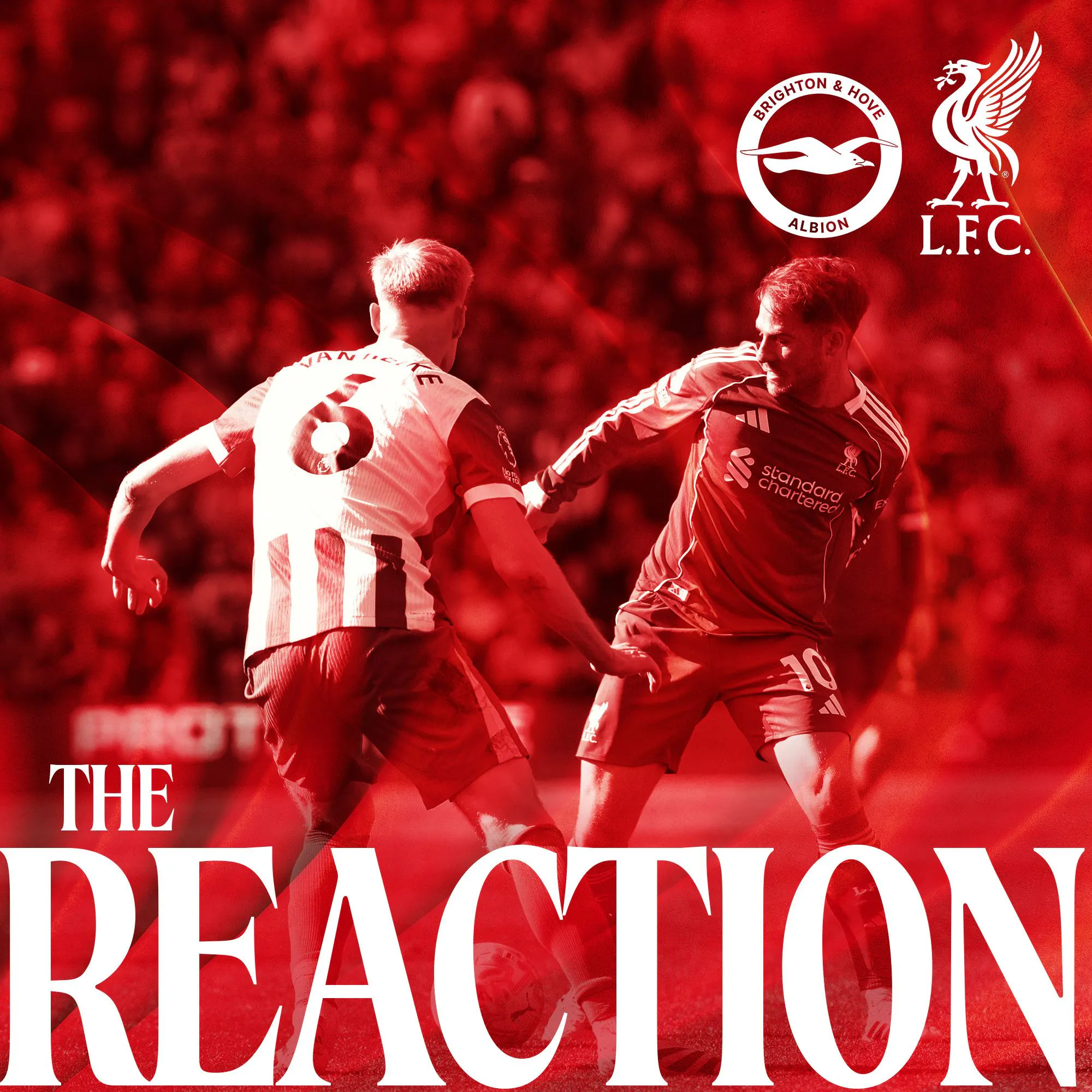 The Reaction: Reds lose at Brighton episode artwork
