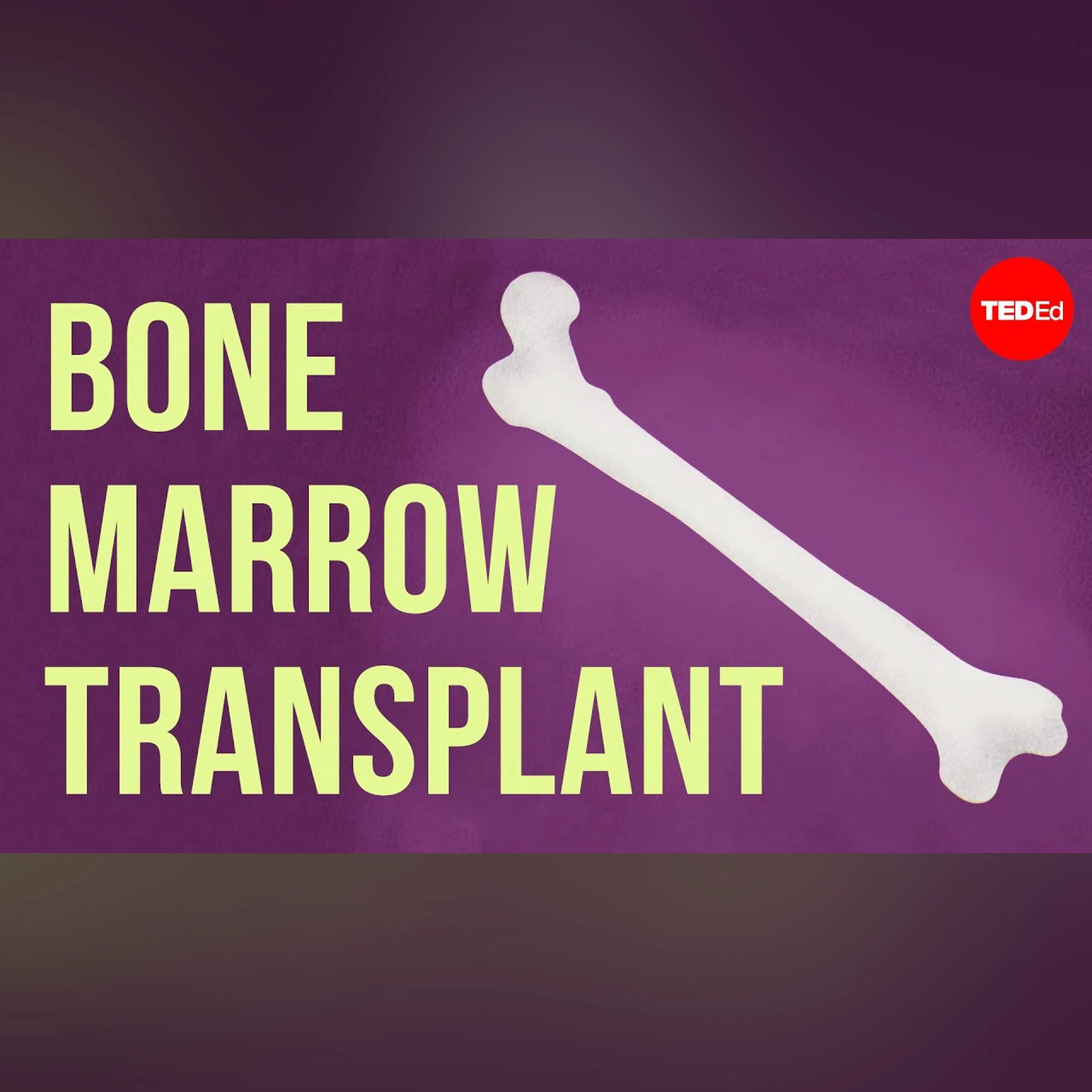 How bones make blood - Melody Smith