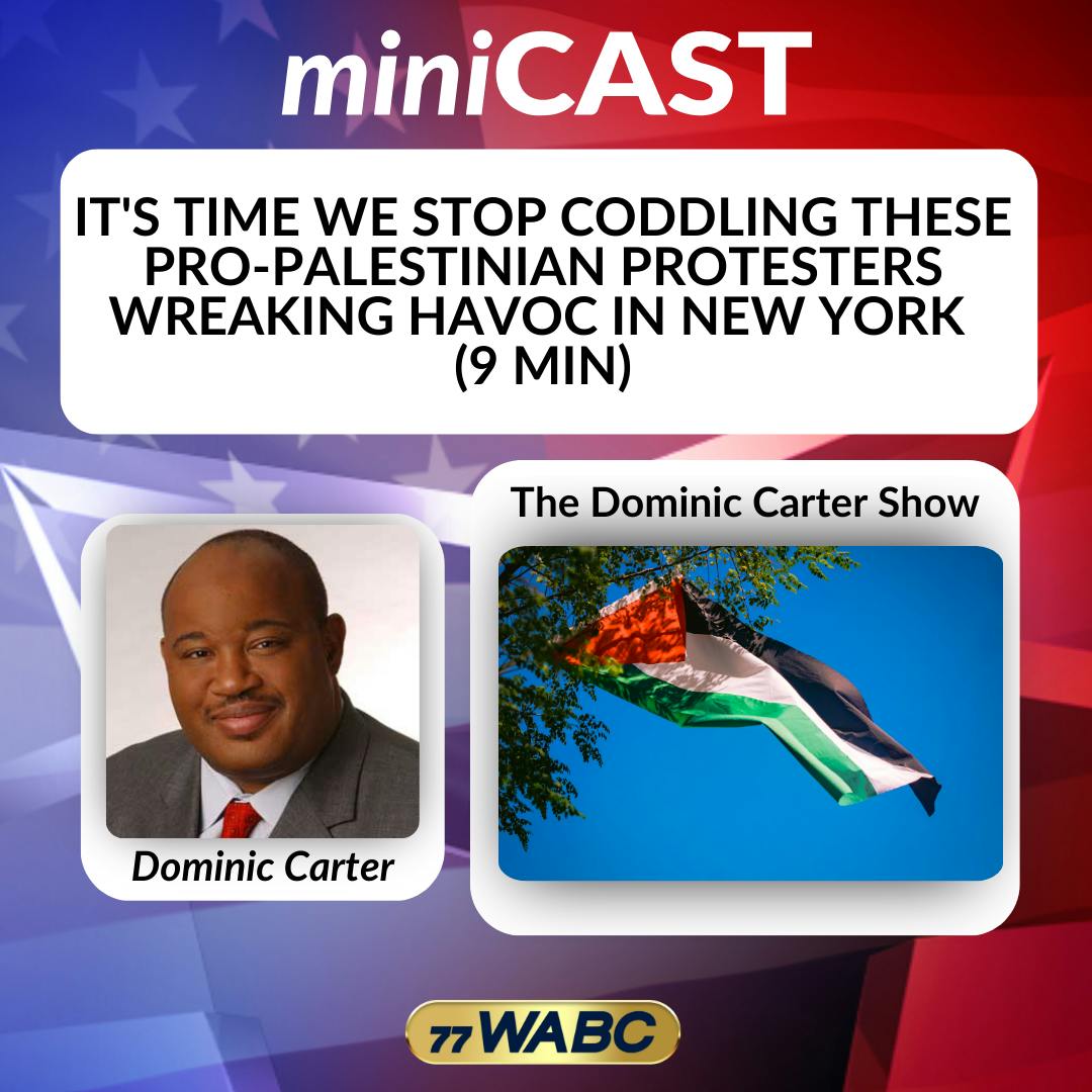 It's Time We Stop Coddling These Pro-palestinian Protesters Wreaking Havoc In New York (9 Min) It's Time We Stop Coddling These Pro-palestinian Protesters Wreaking Havoc In New York (9 Min)