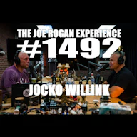 #1492 - Jocko Willink artwork