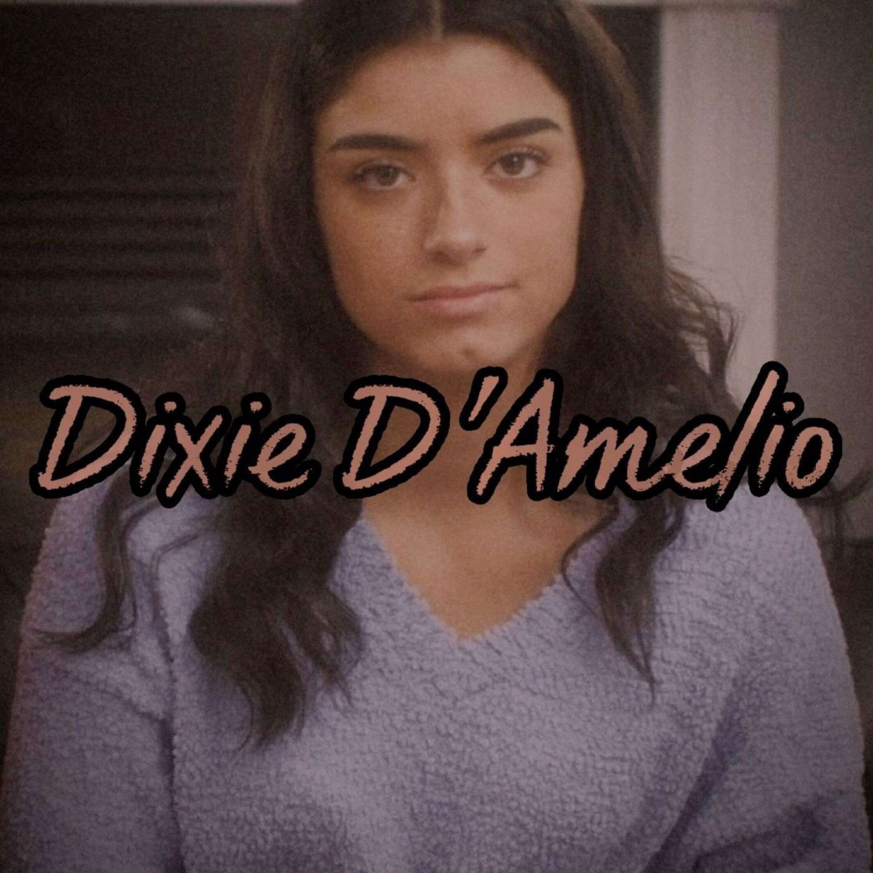 Viral: The Rise of Dixie D’Amelio episode artwork