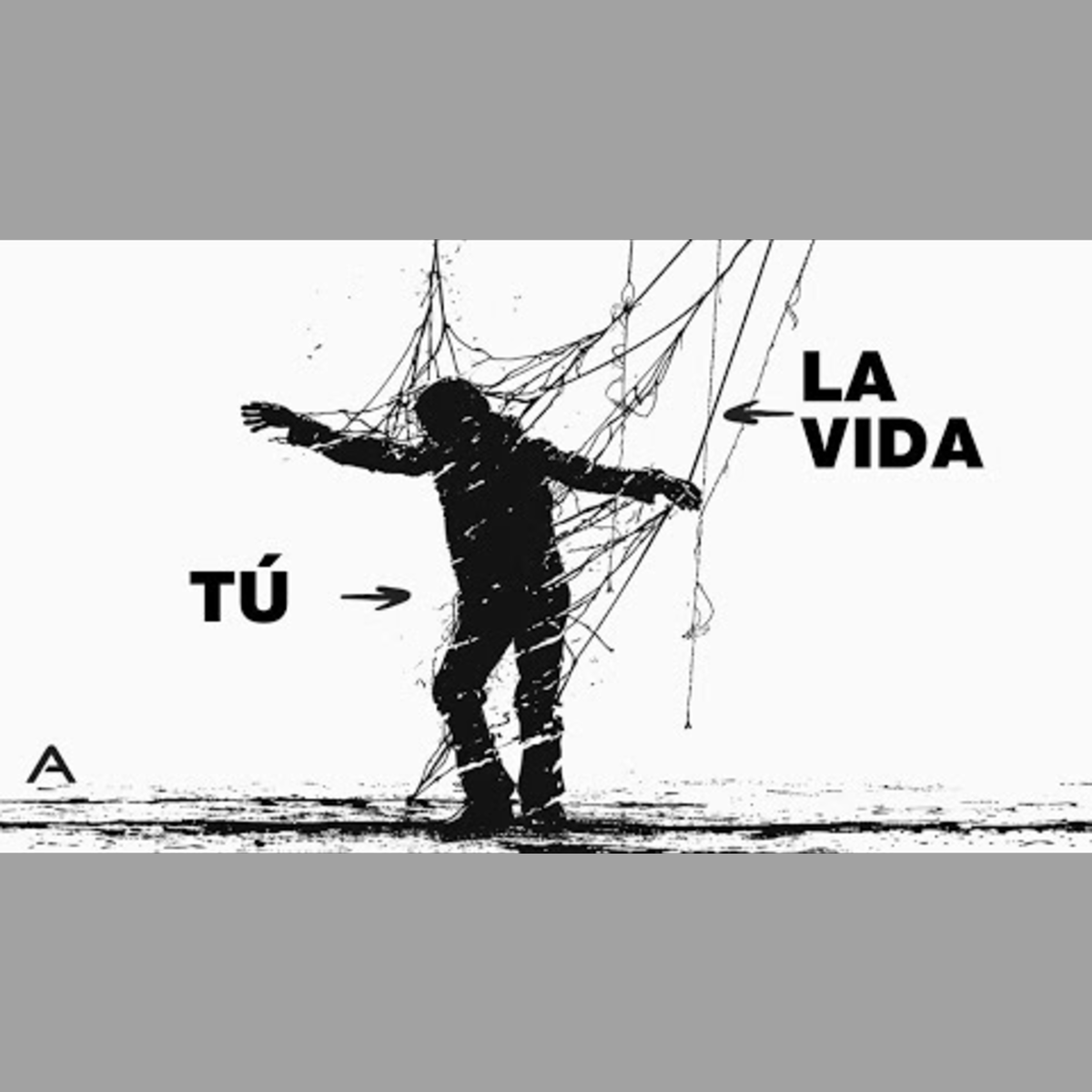 Lecciones de vida que la sociedad NO quiere que sepas