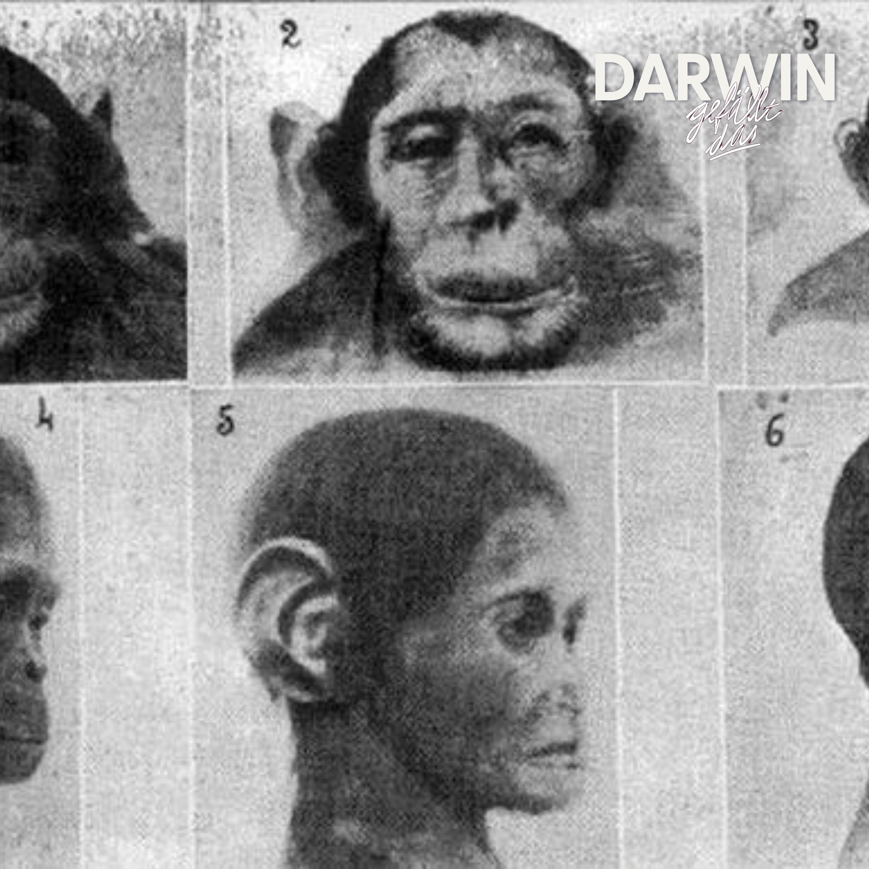 Planet der Maffen | DGD Sommersause