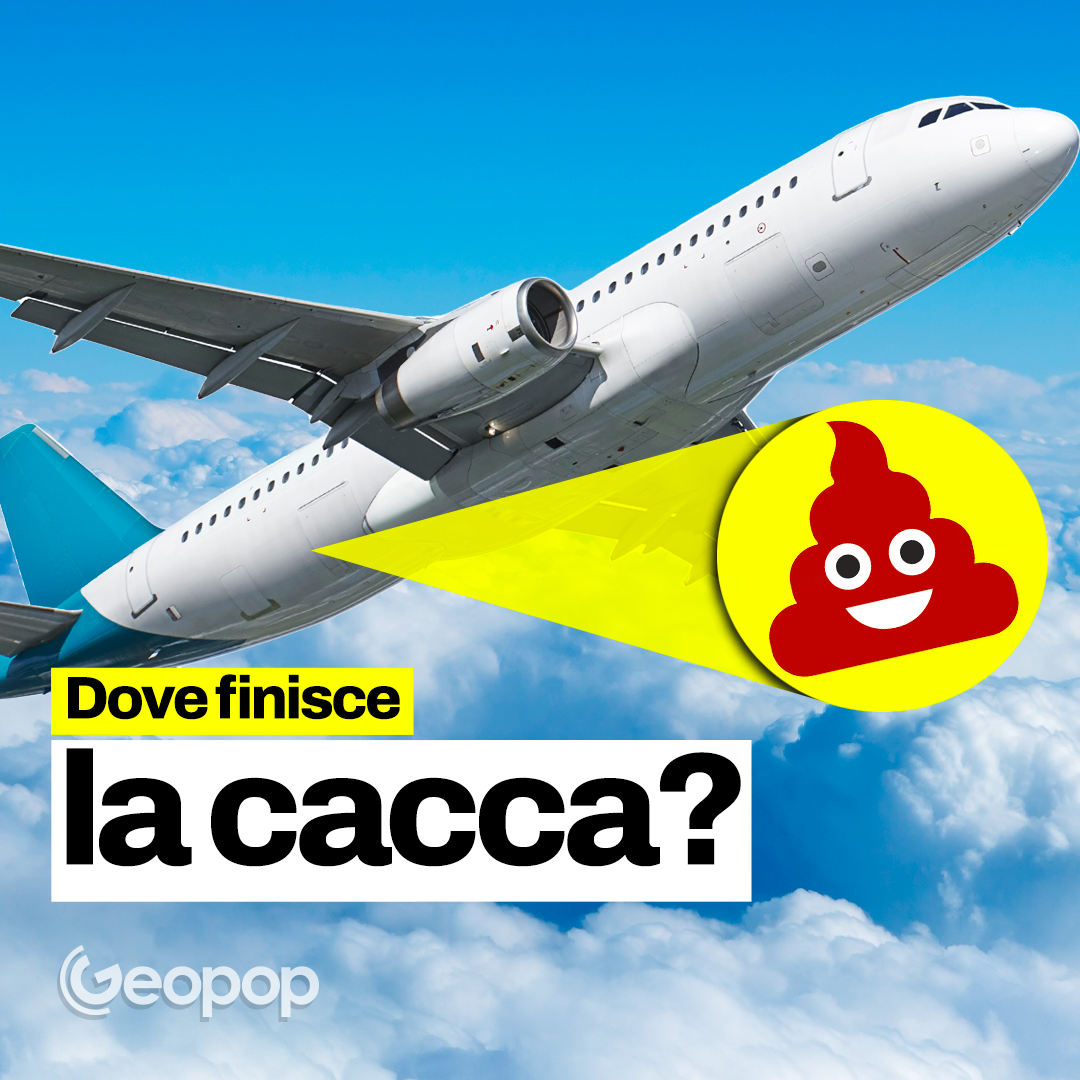 Dove finisce la cacca che facciamo in aereo?